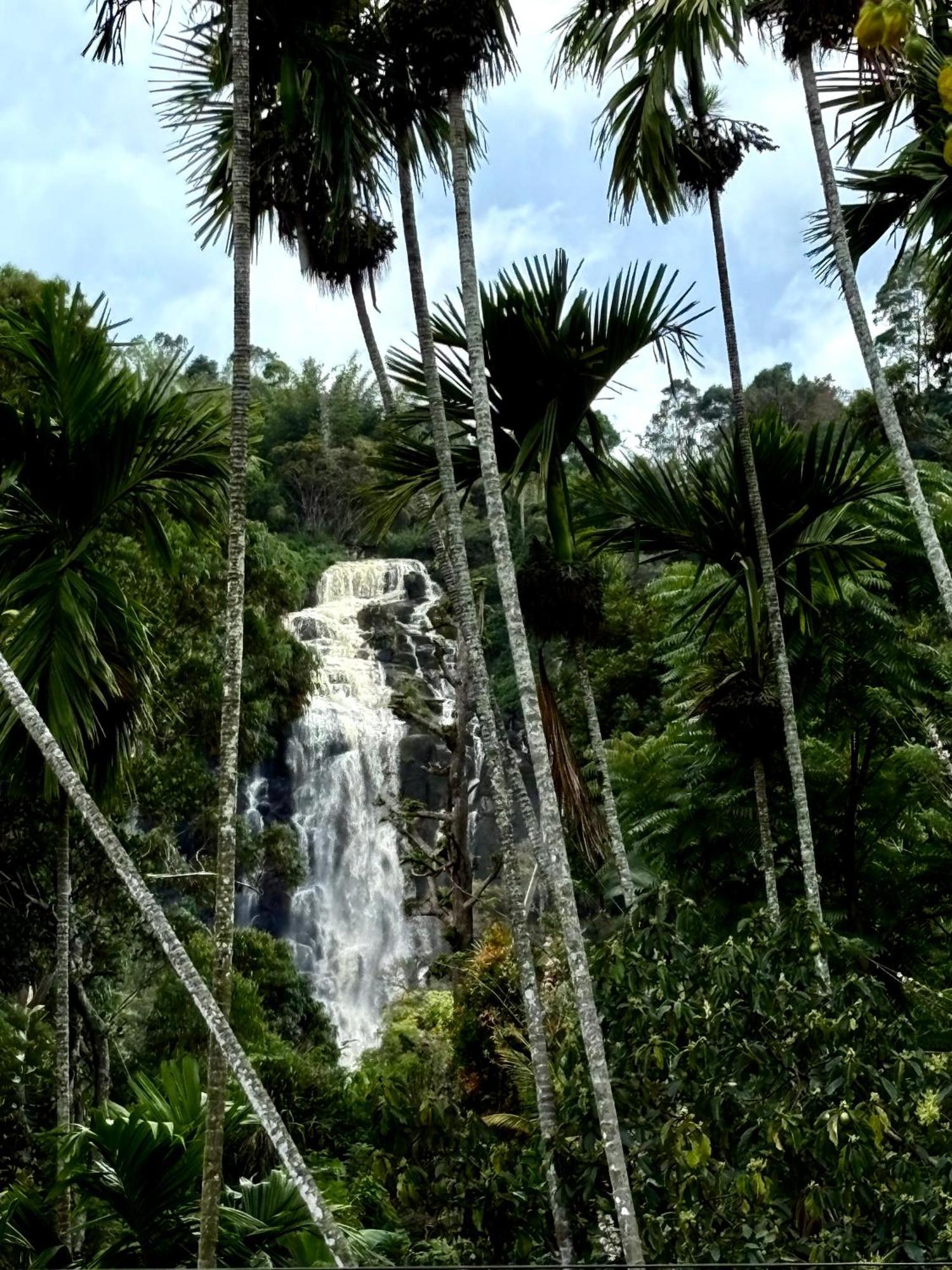 Cozy Waterfall Road Hotel *