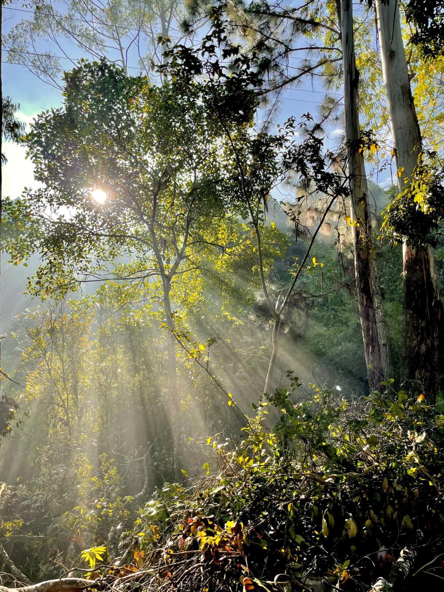Holiday home Nature - A Modern, Exclusive Just For You!