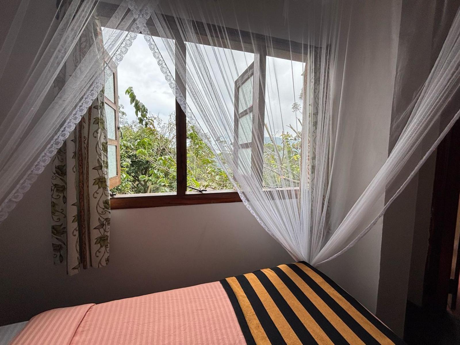 New View Guest house Ella