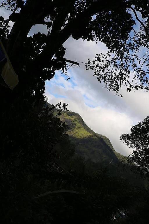 Mount