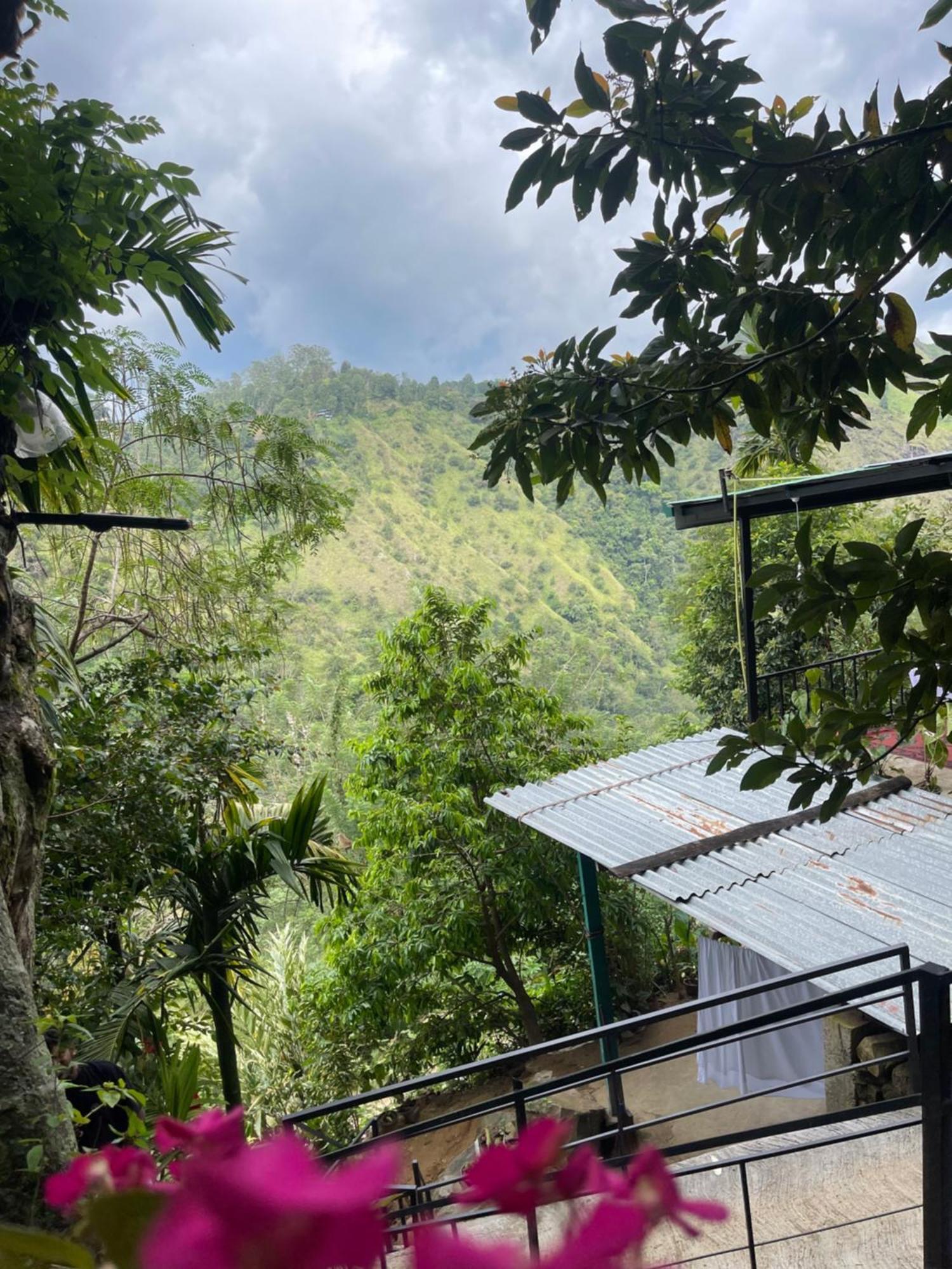 Homestay Hobbit At Mountain Ella