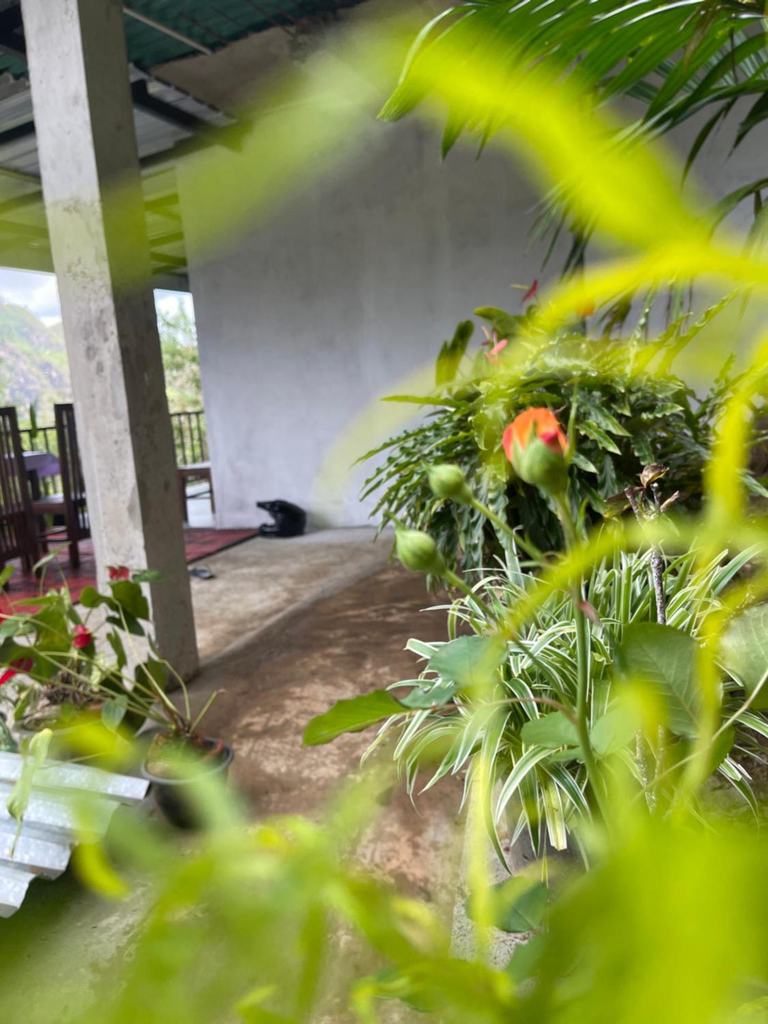 Homestay Hobbit At Mountain *