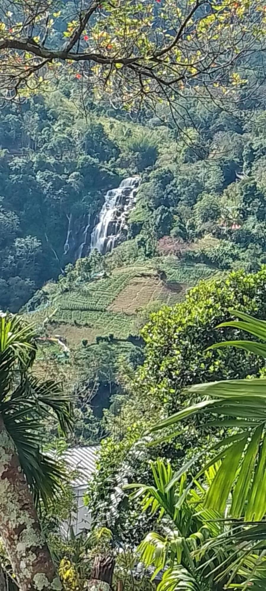 Guest house Breeze Climes Ella