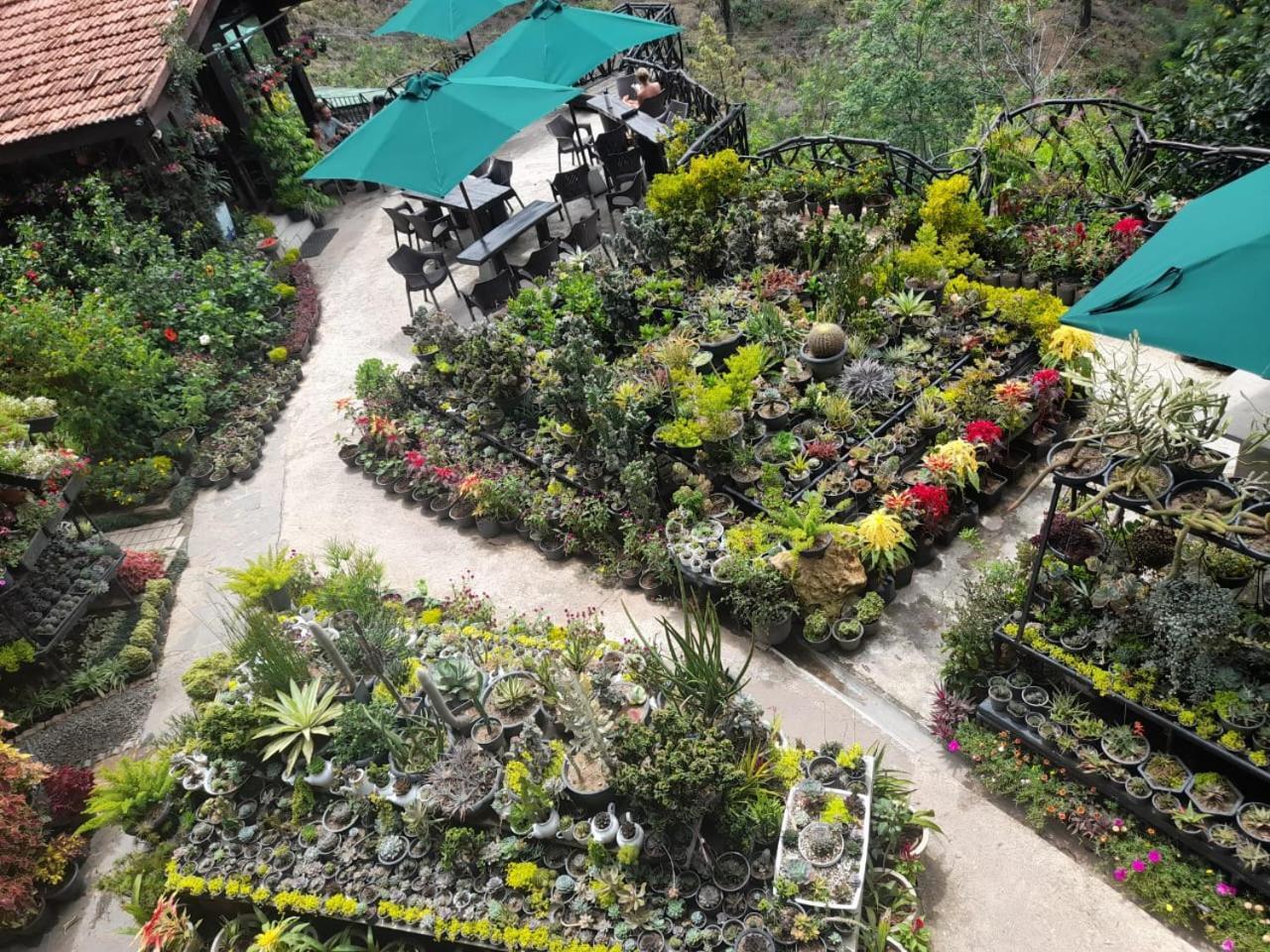 Flower Garden 4* Ella
