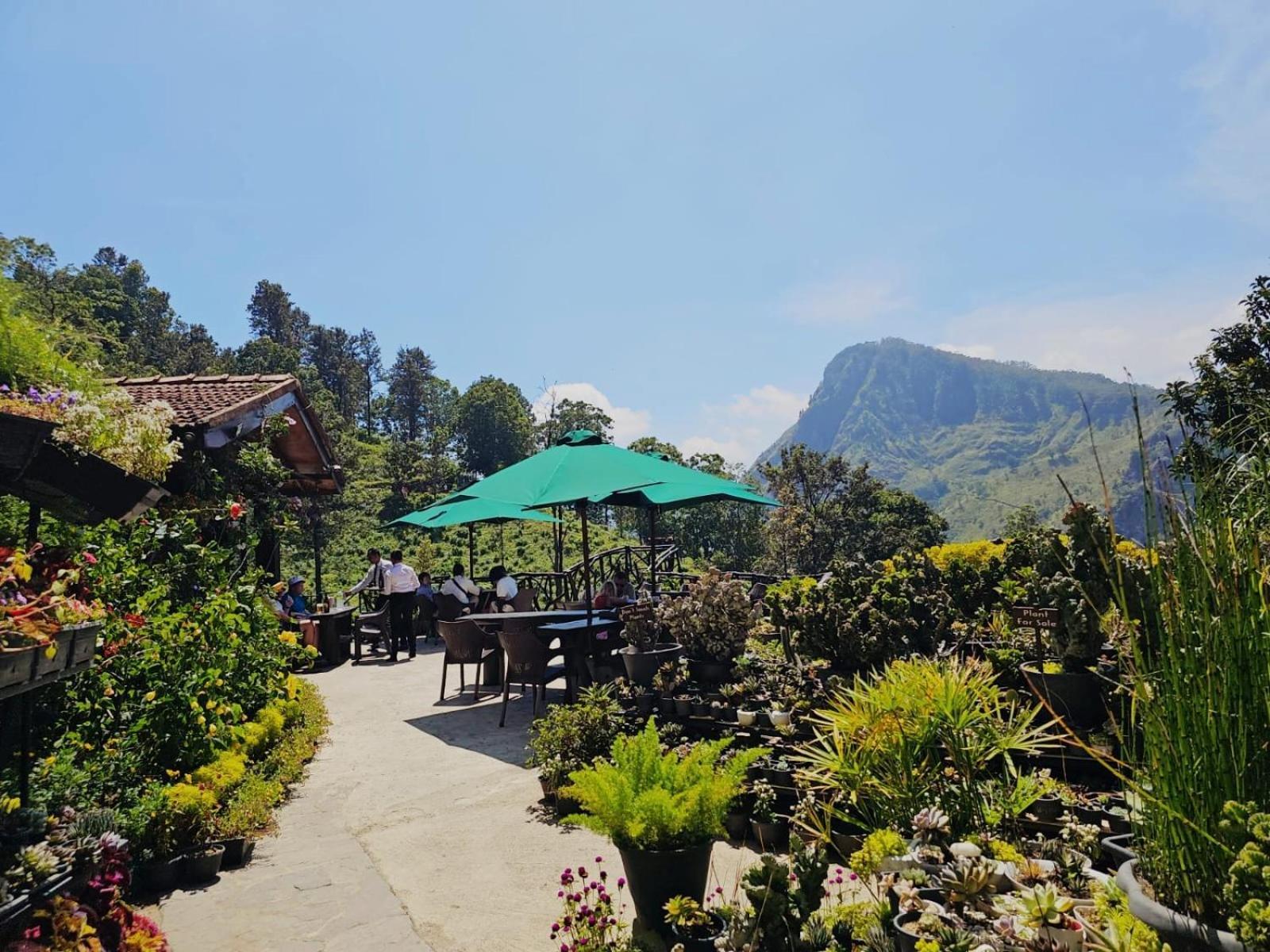 Hotel Flower Garden