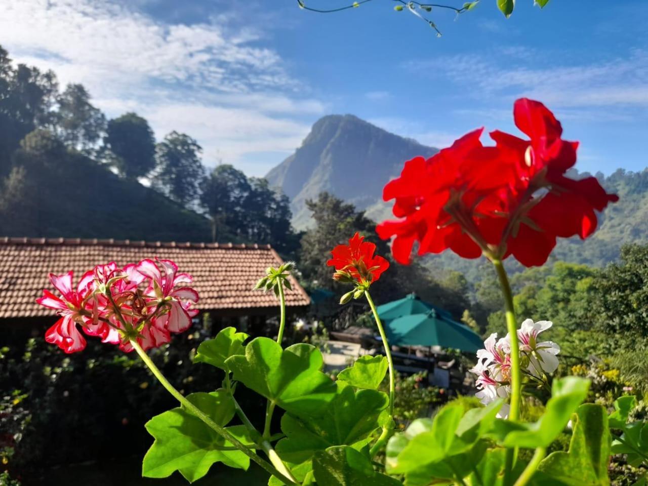 Flower Garden Hotel 4*