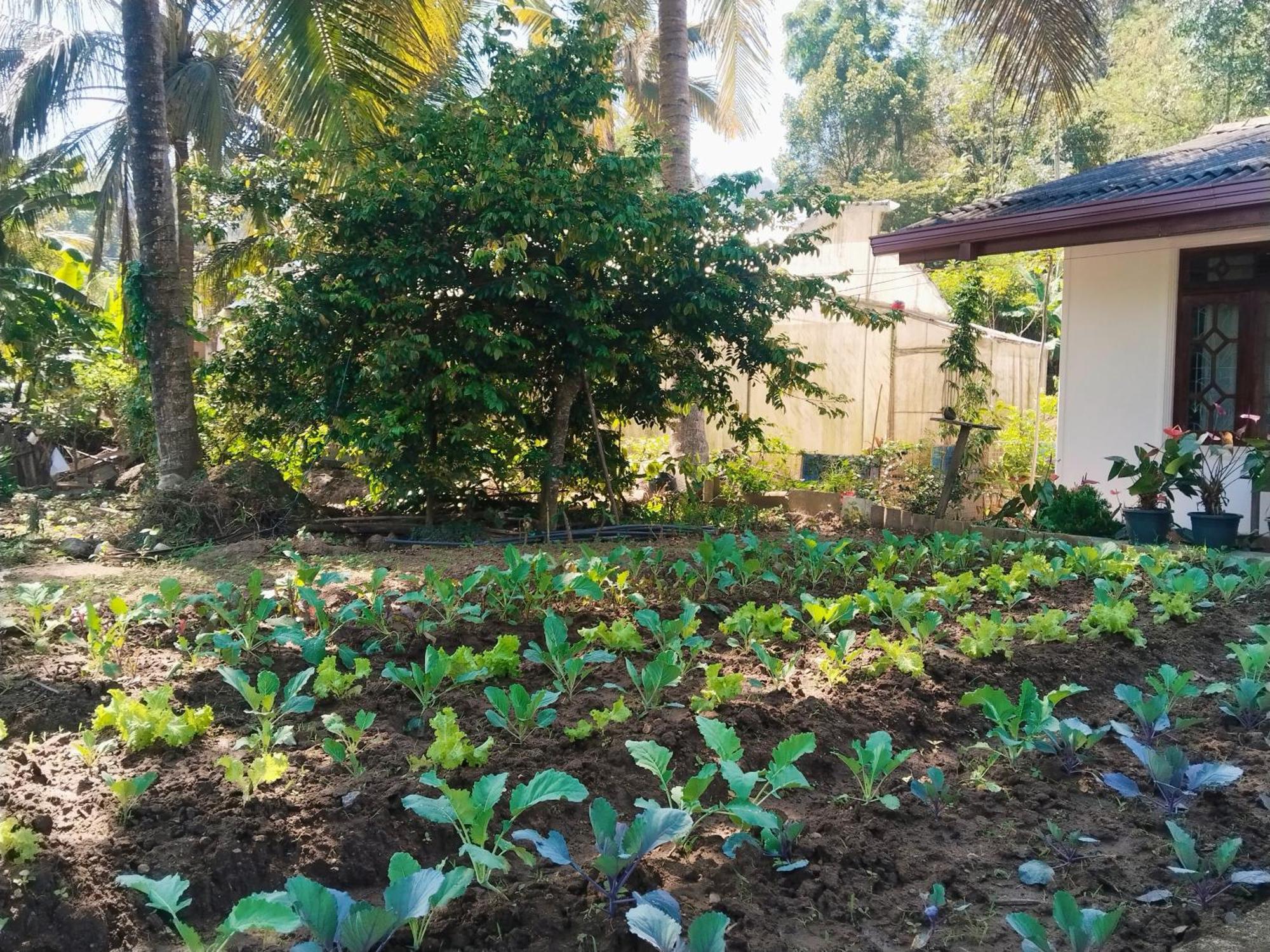 Homestay Nature Valley *