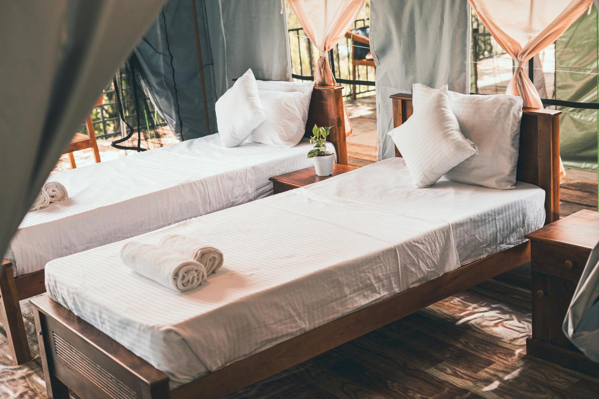 Radiance Urban Luxury tent
