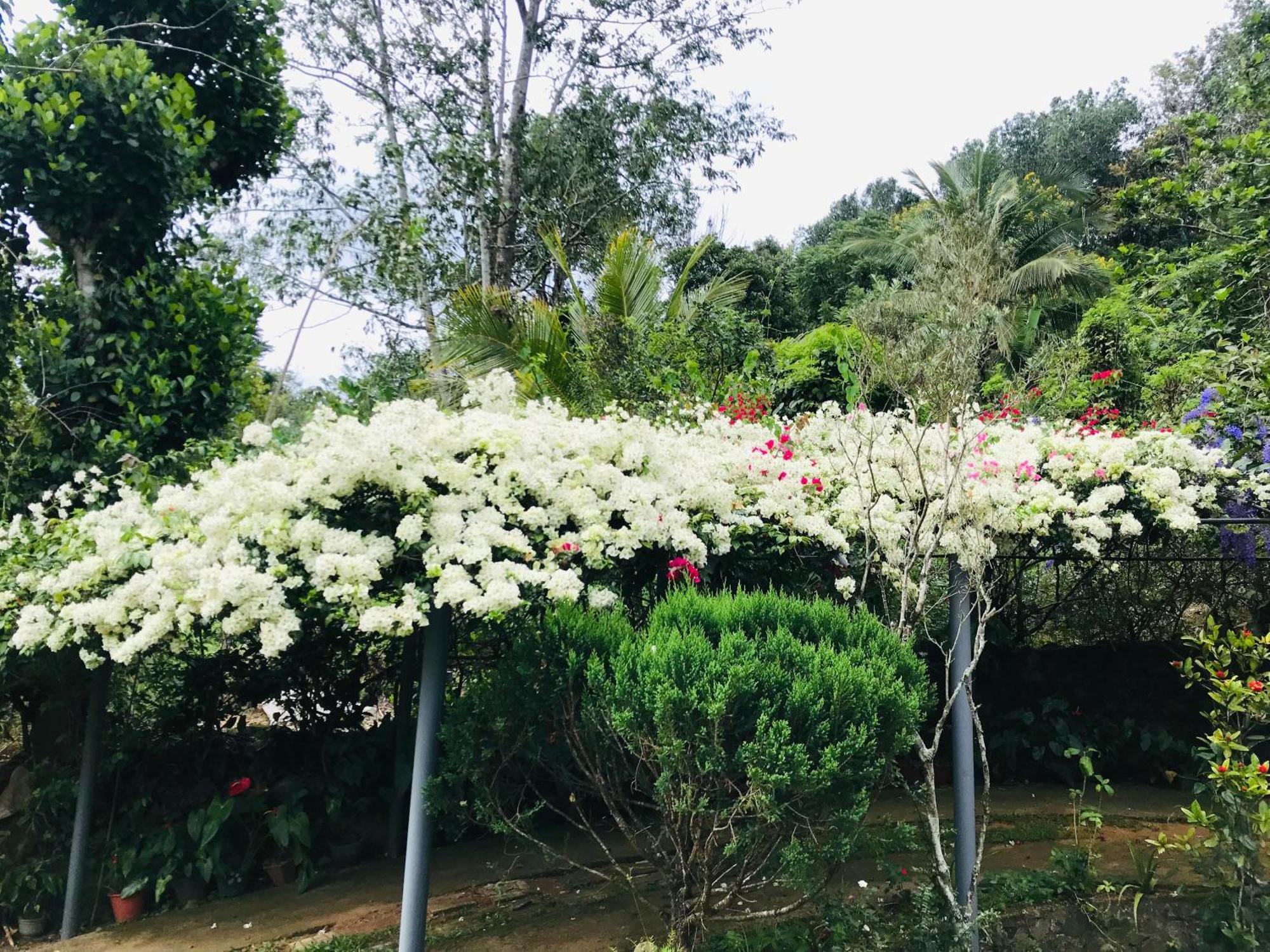 Homestay Bella Vista