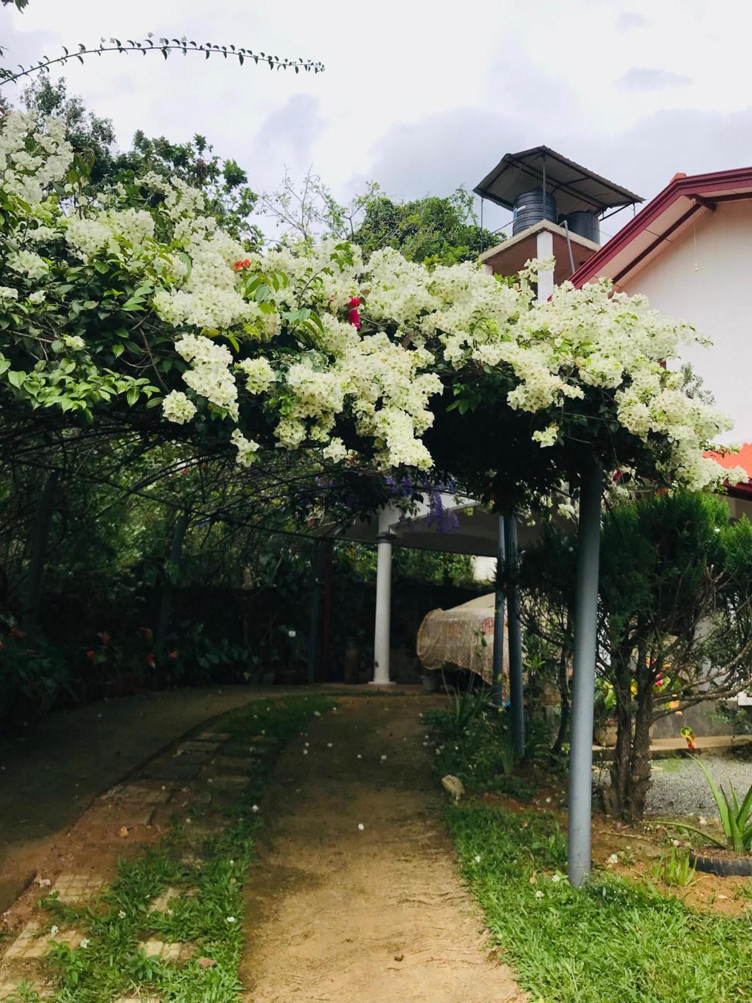 Homestay Bella Vista *