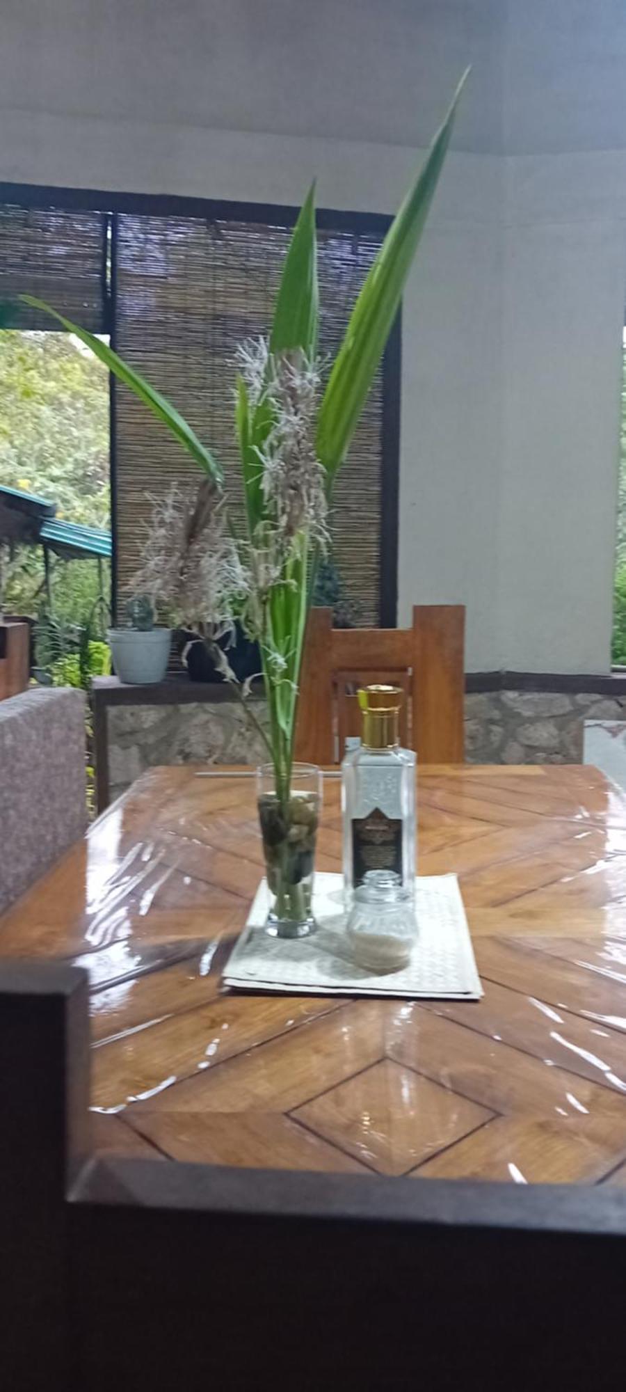Ella Green Stay Guest house