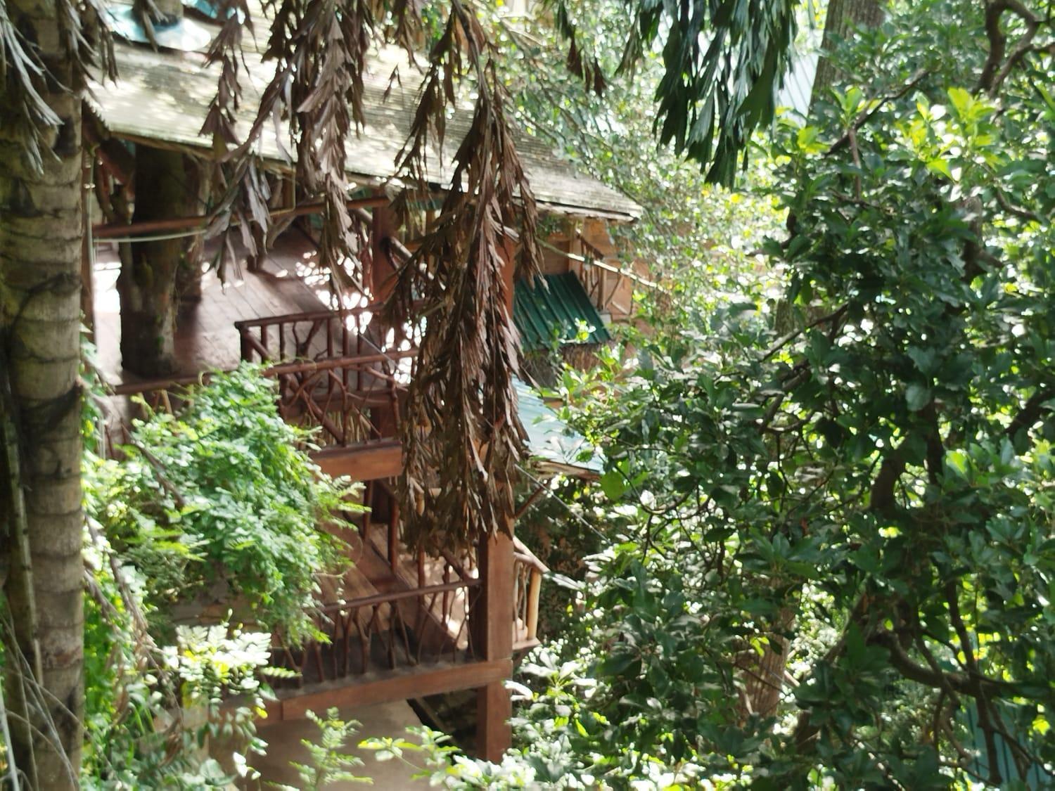 Treehouse Guest house *