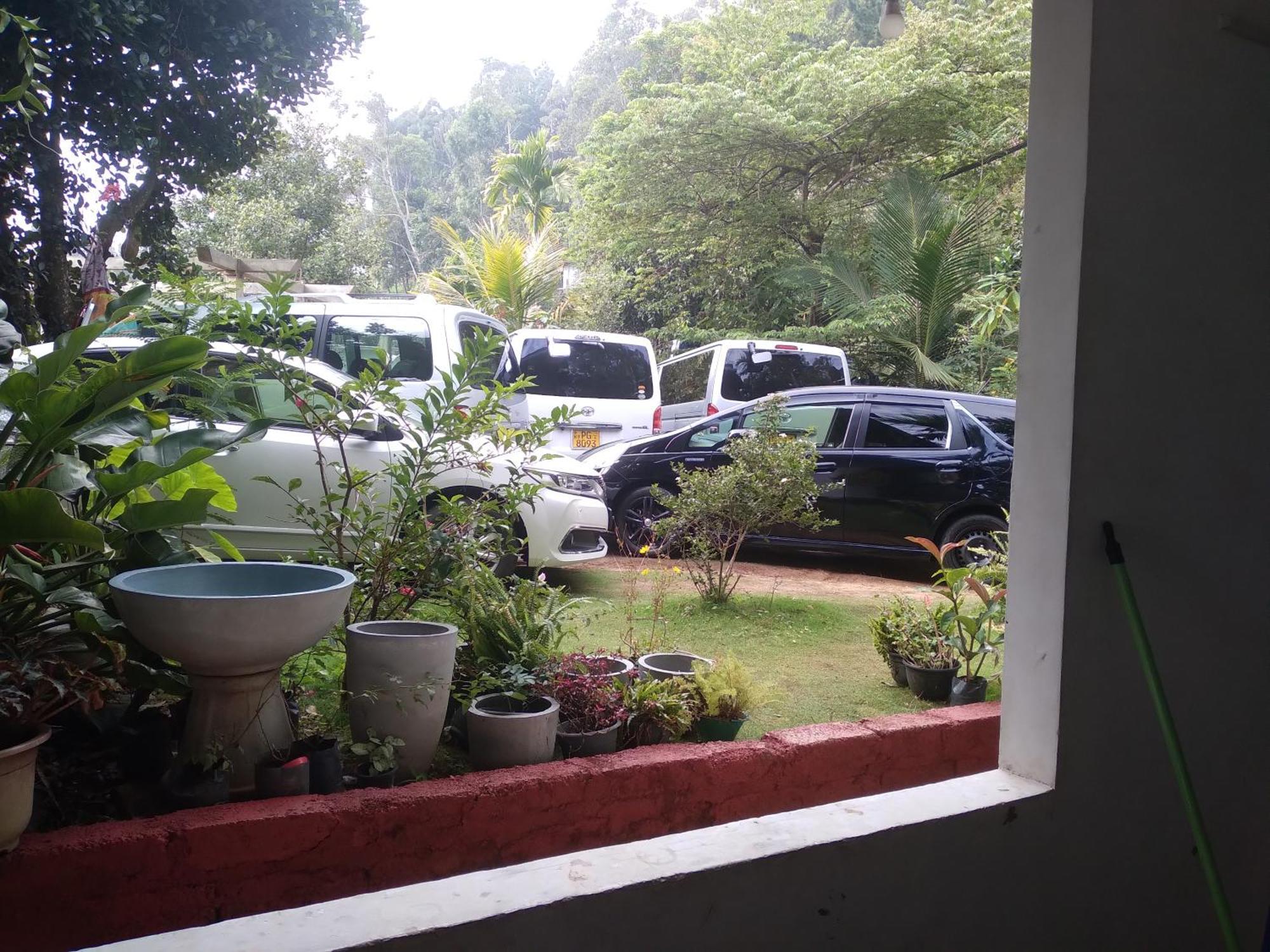 Chill Wood Homestay