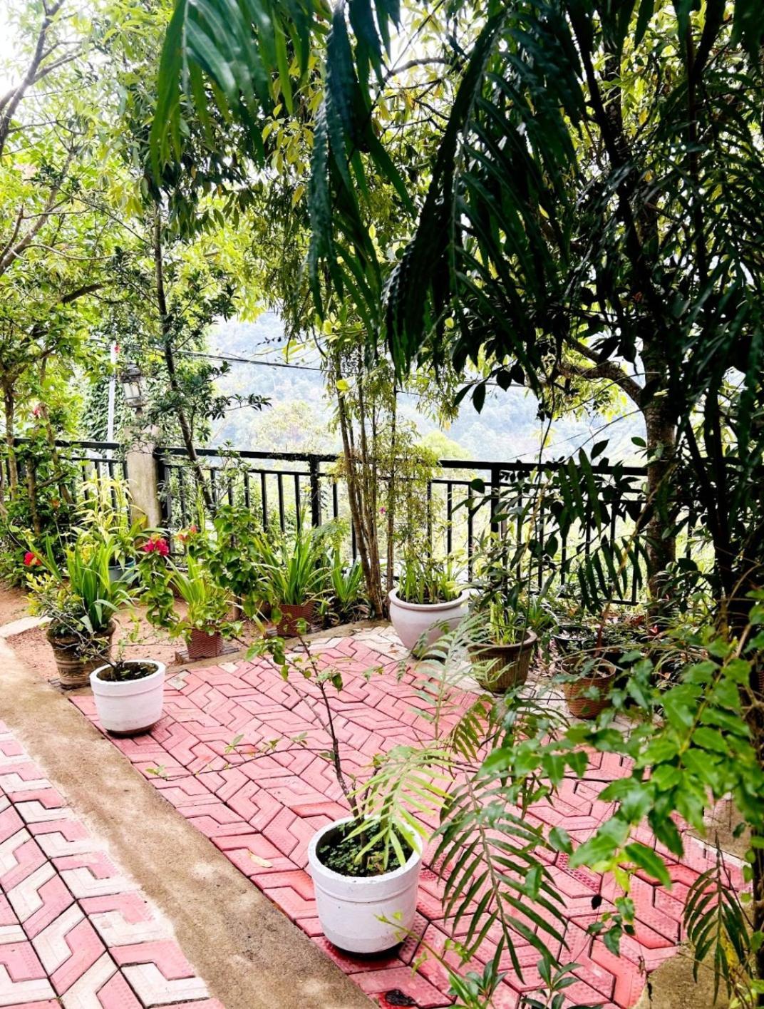 Viewpoint Sunnyview *