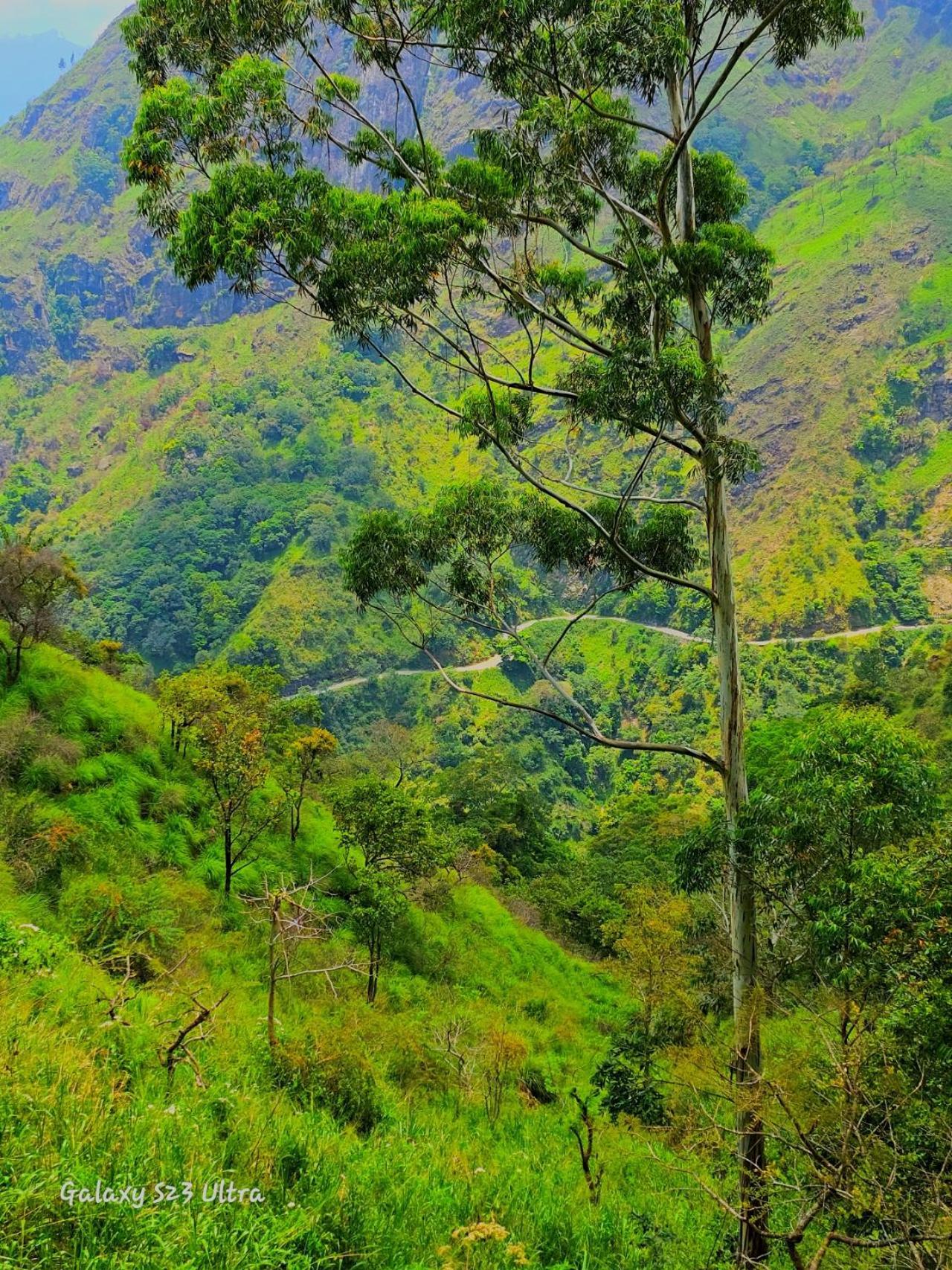 Mountain Range Homestay *