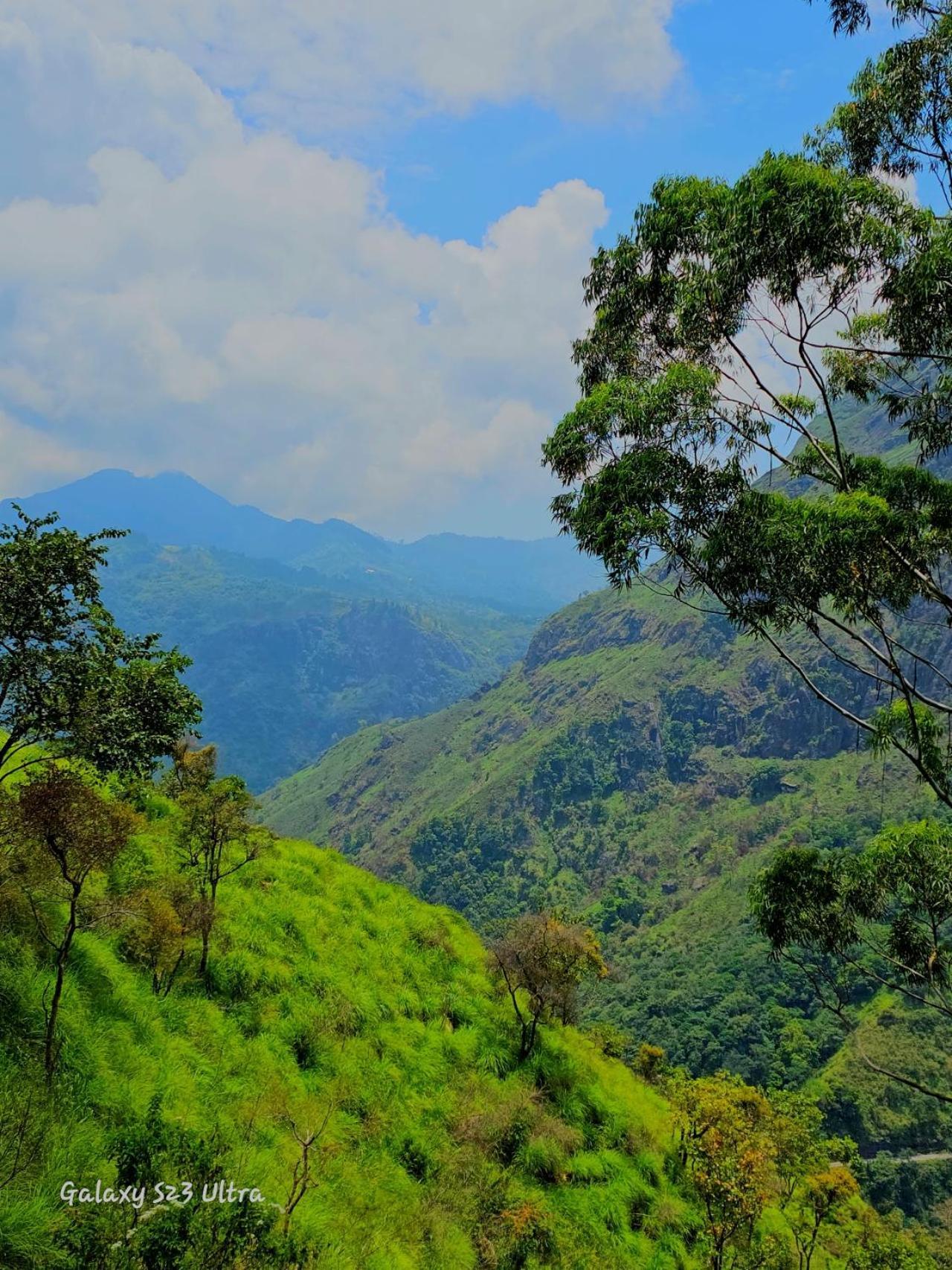 Homestay Mountain Range *