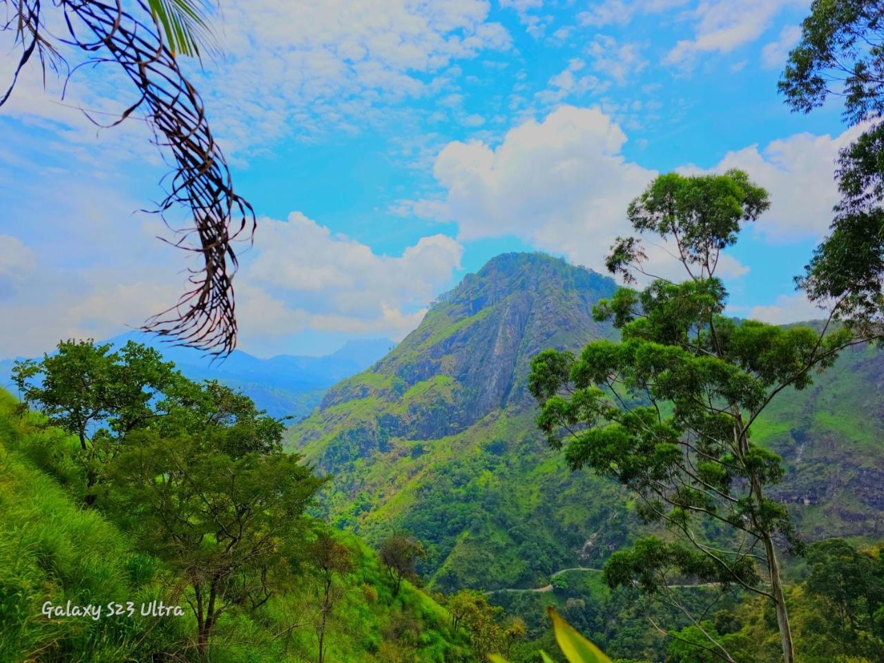 Mountain Range