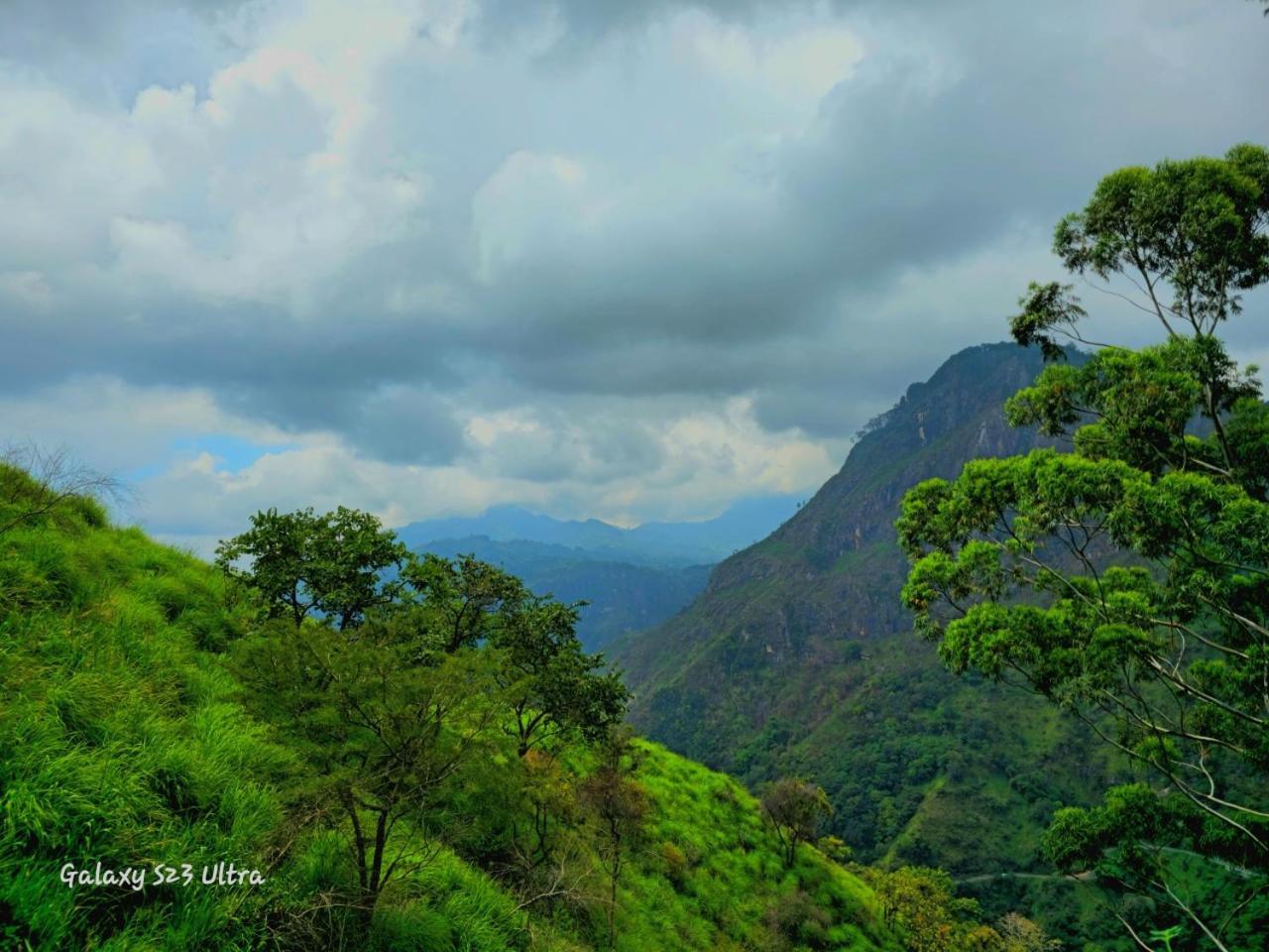 Homestay Mountain Range