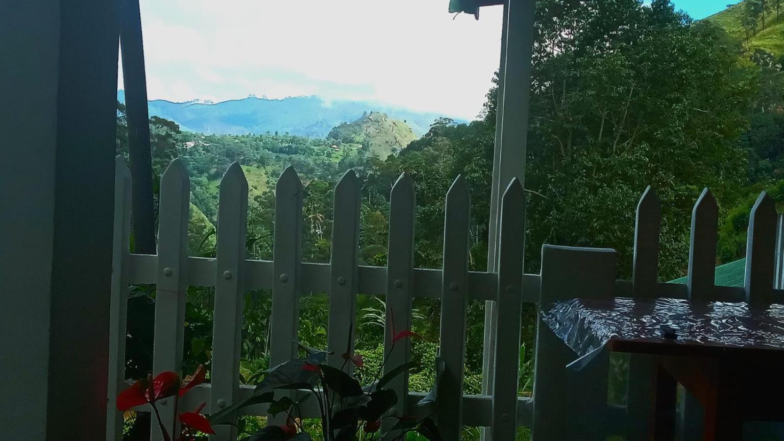 Homestay New Farmers Paradise