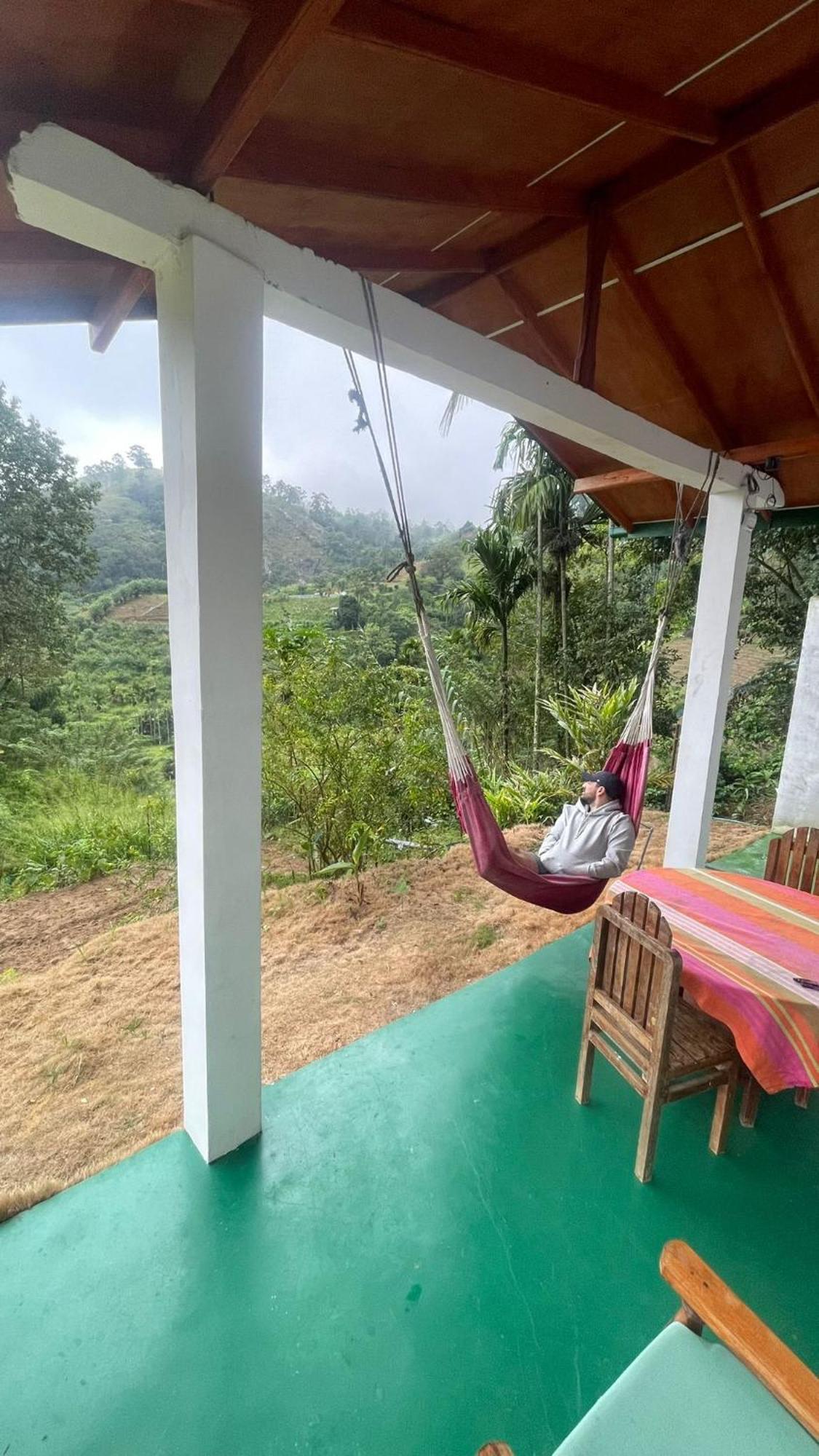 New Farmers Paradise Homestay *