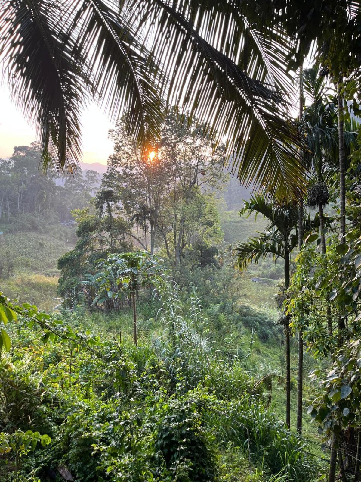 New Farmers Paradise Homestay Ella
