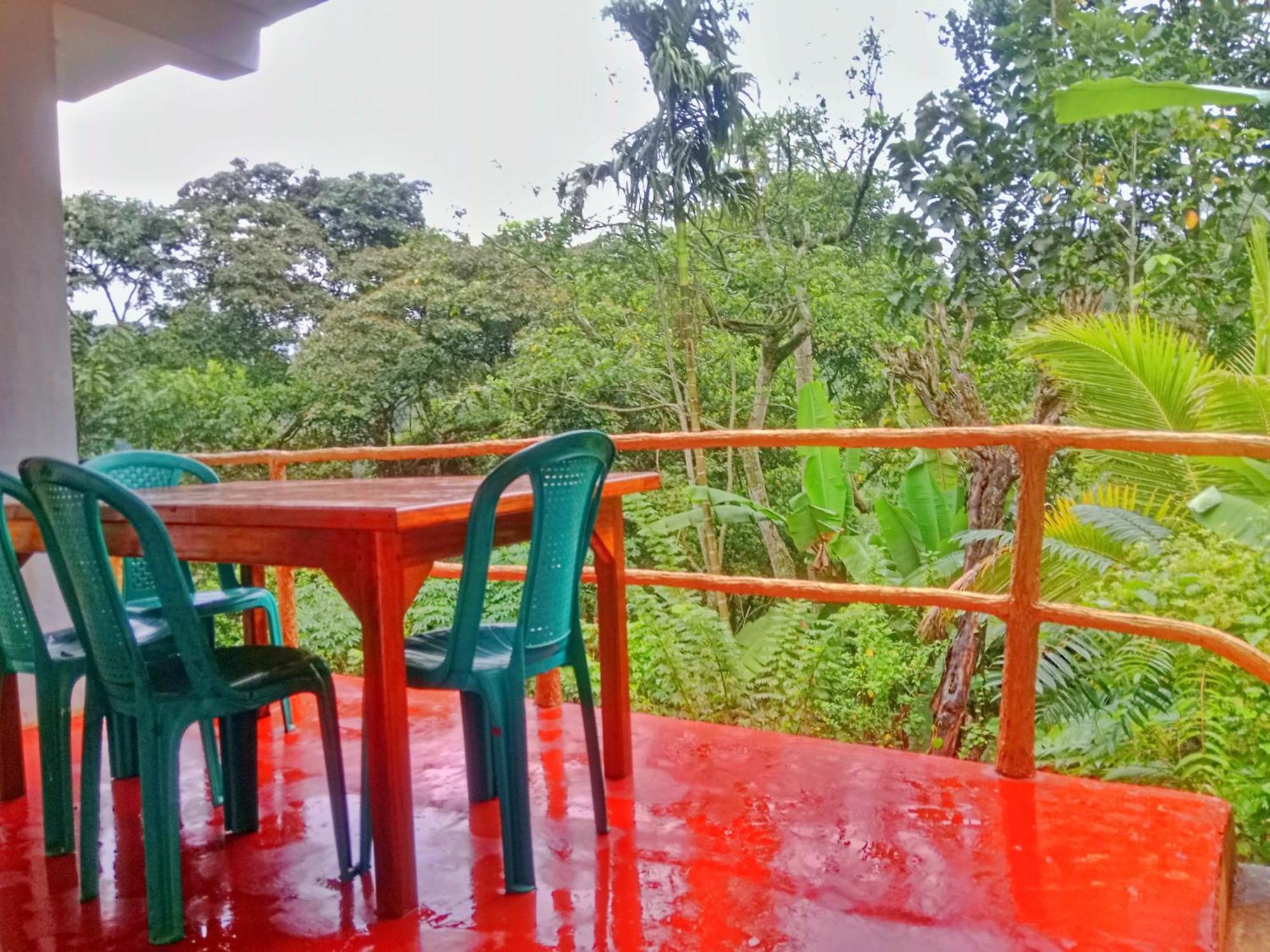 Guest house Wild Grass - Ella