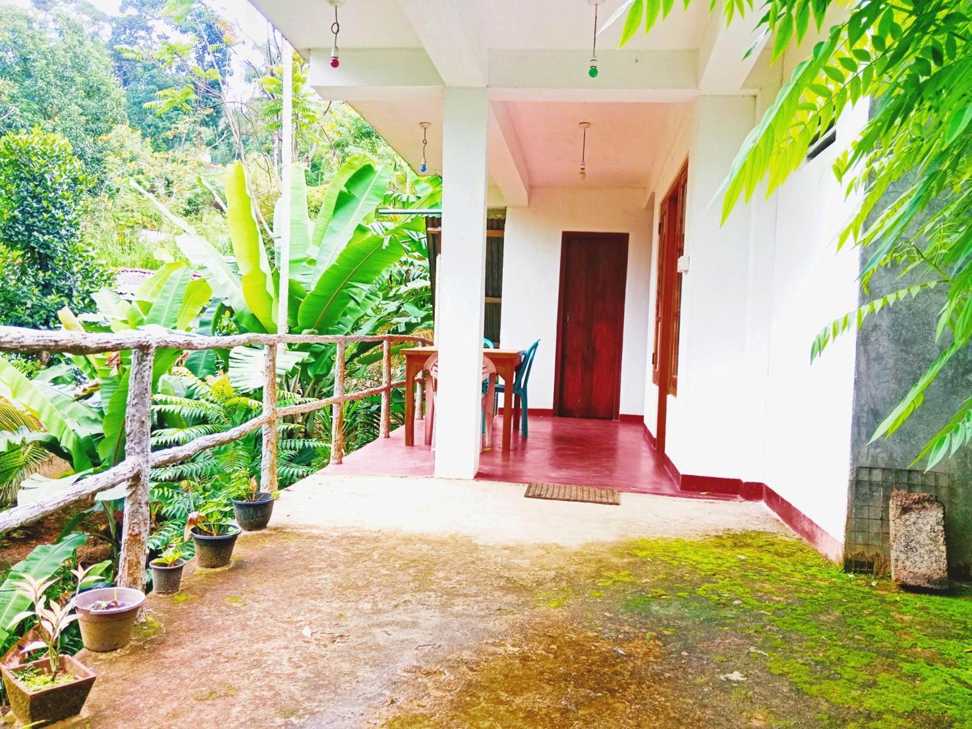 Guest house Wild Grass - *