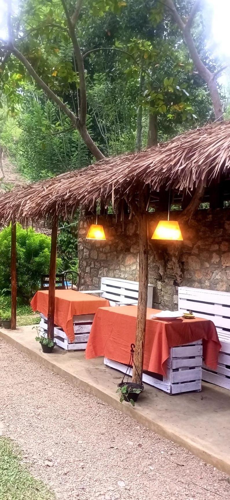 Foret Hostel