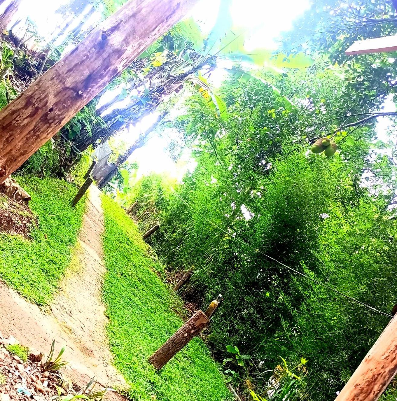 Foret Hostel Ella
