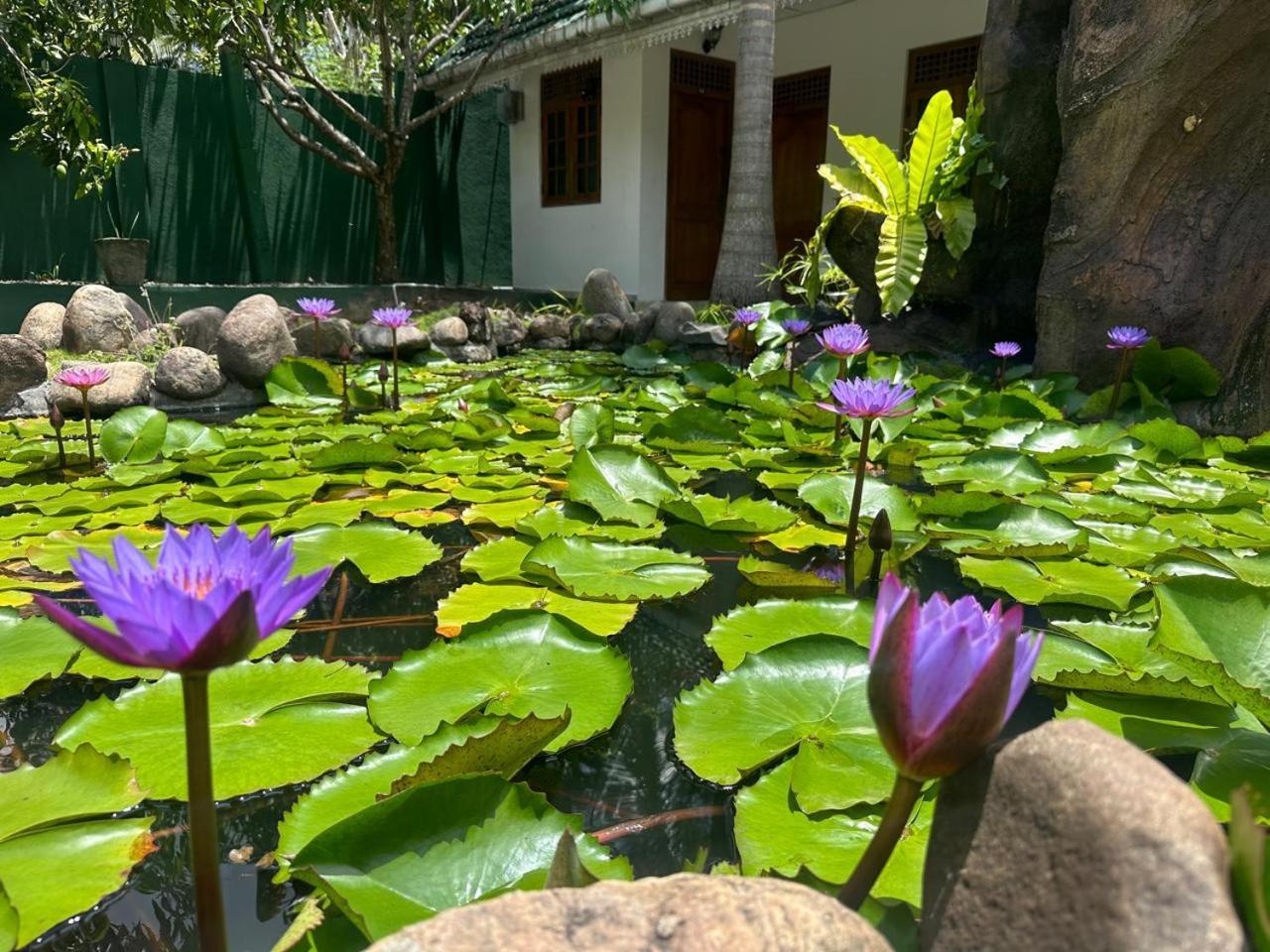 La Karanda Breeze Hotel Ella