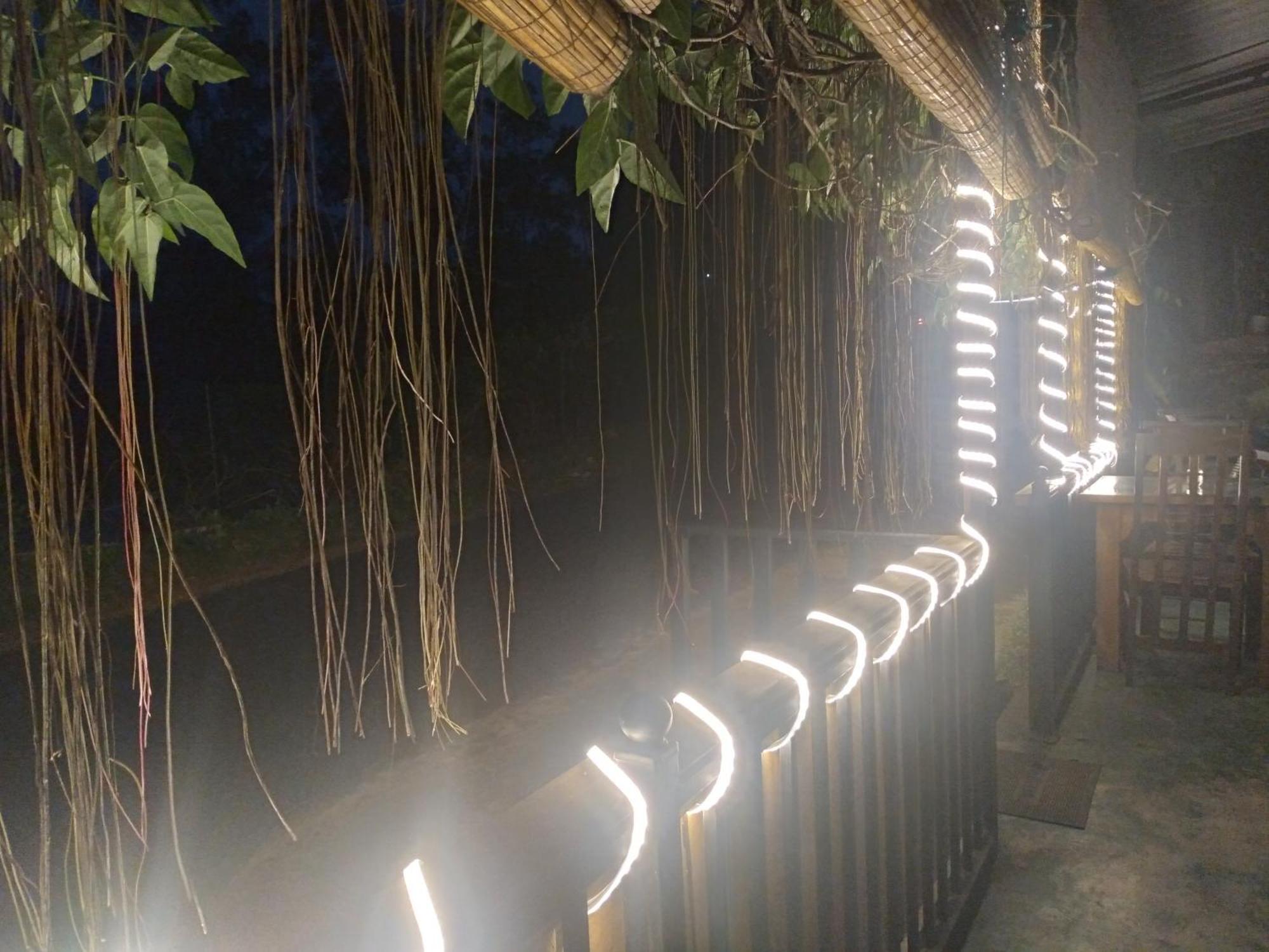 Nature Life Guest & Restaurant -free Pickup From Hotel