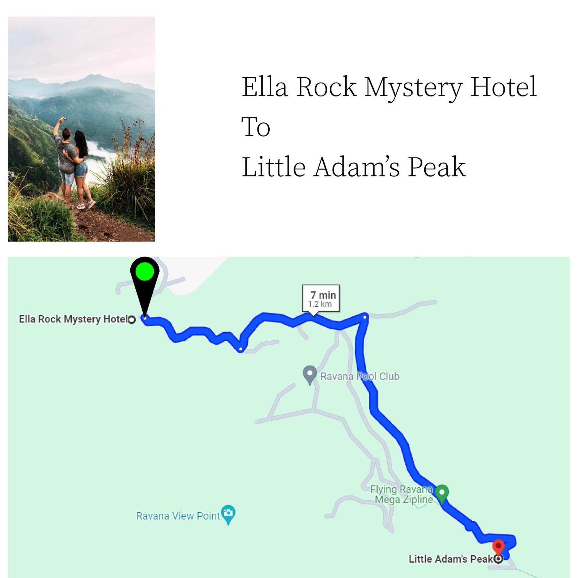 Rock Mystery Guest 2*