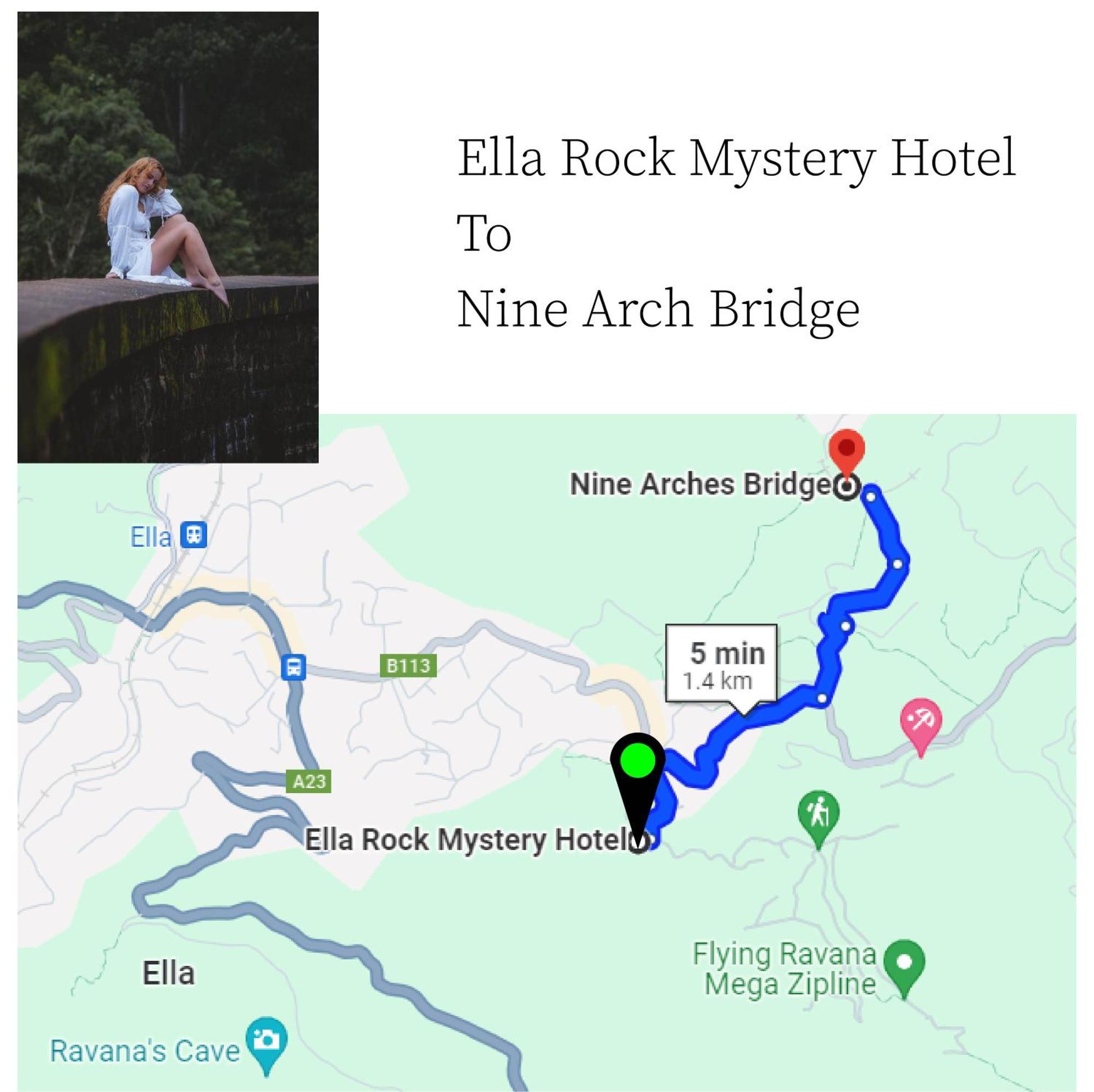 Hotel Rock Mystery Guest 2*