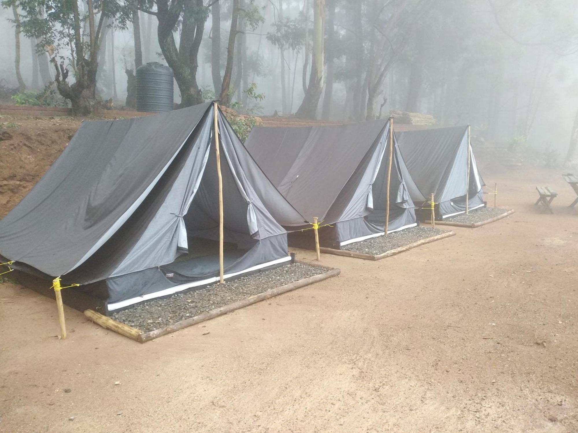 Earth - Luxury tent