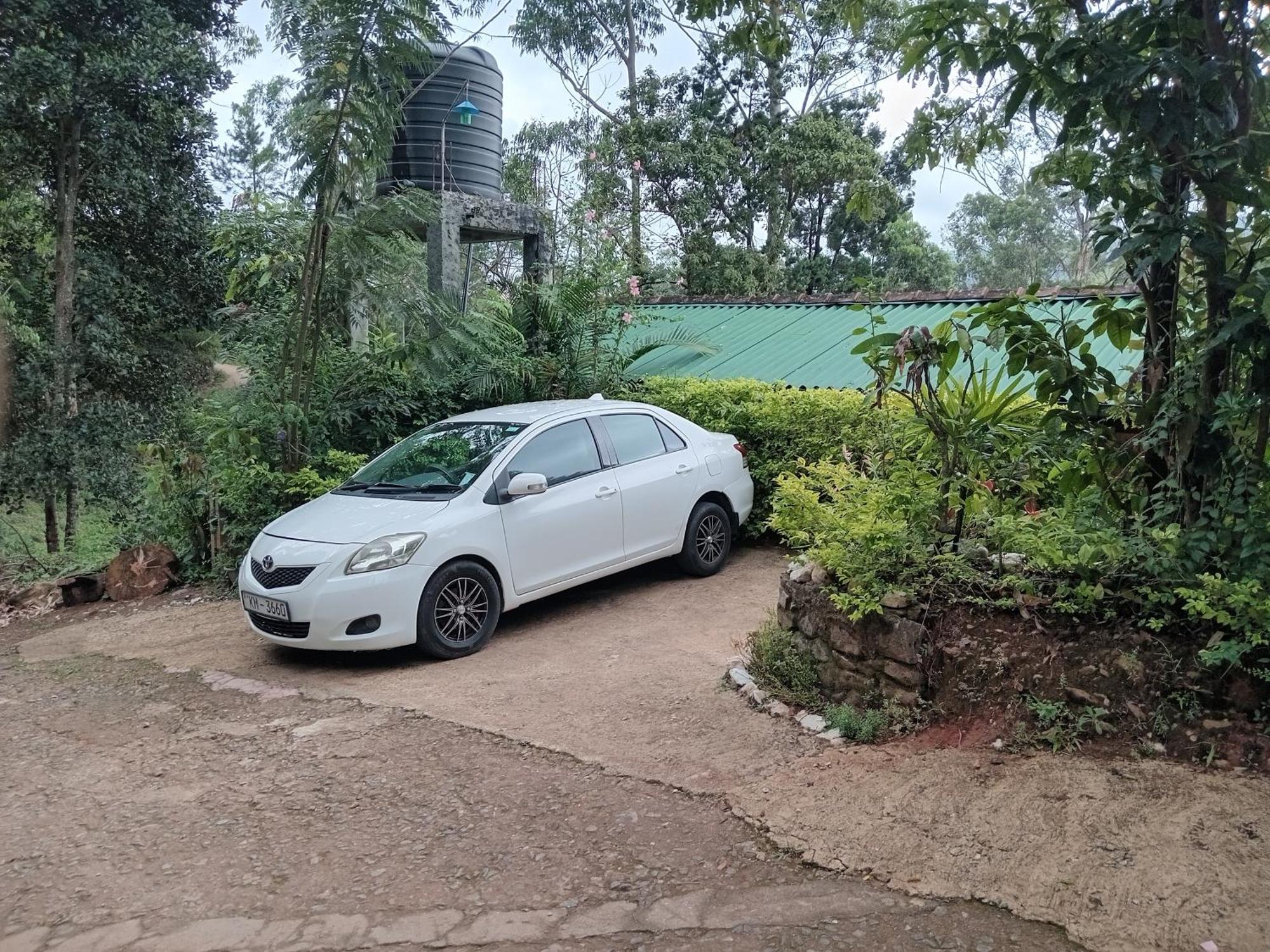 Nethsara Lodge *