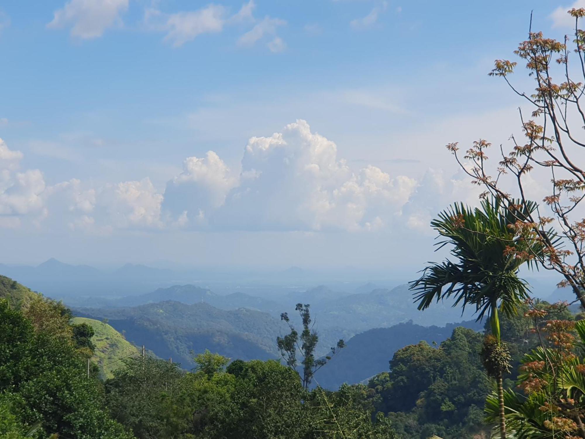 Charm Spring Homestay