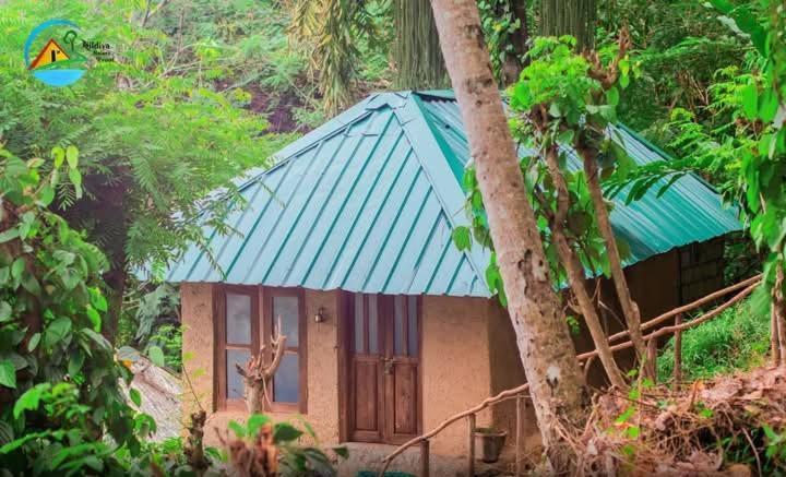 One Night Guest house