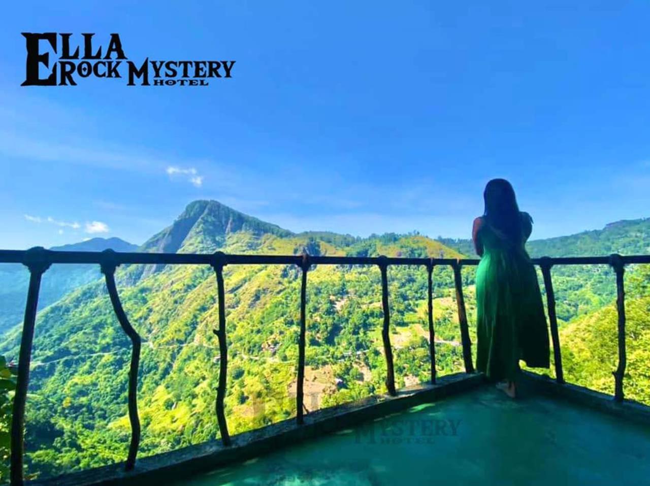 Rock Mystery Guest 2*