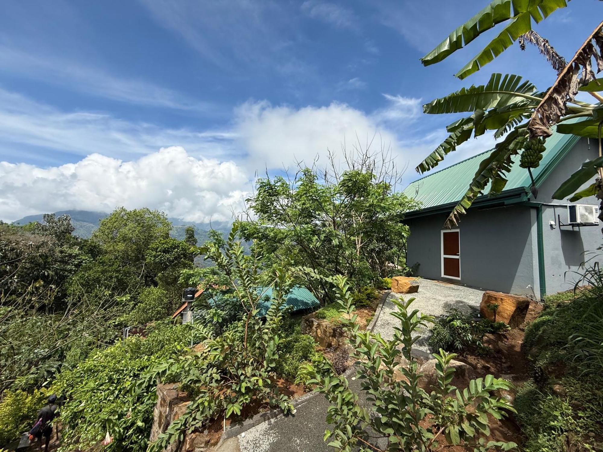 Dolape Lodge *