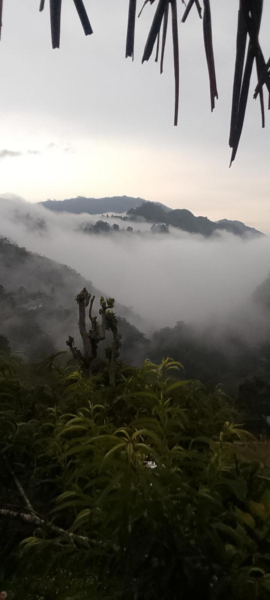 Uththaree Homestay