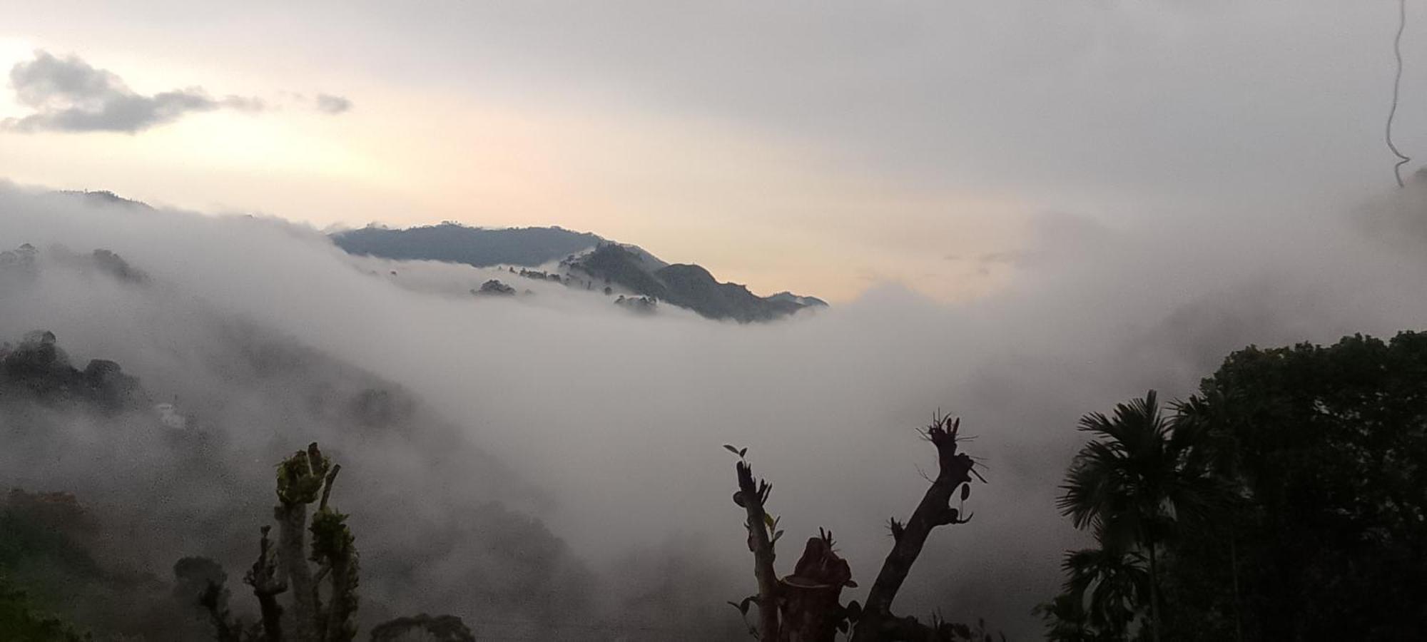 Homestay Uththaree