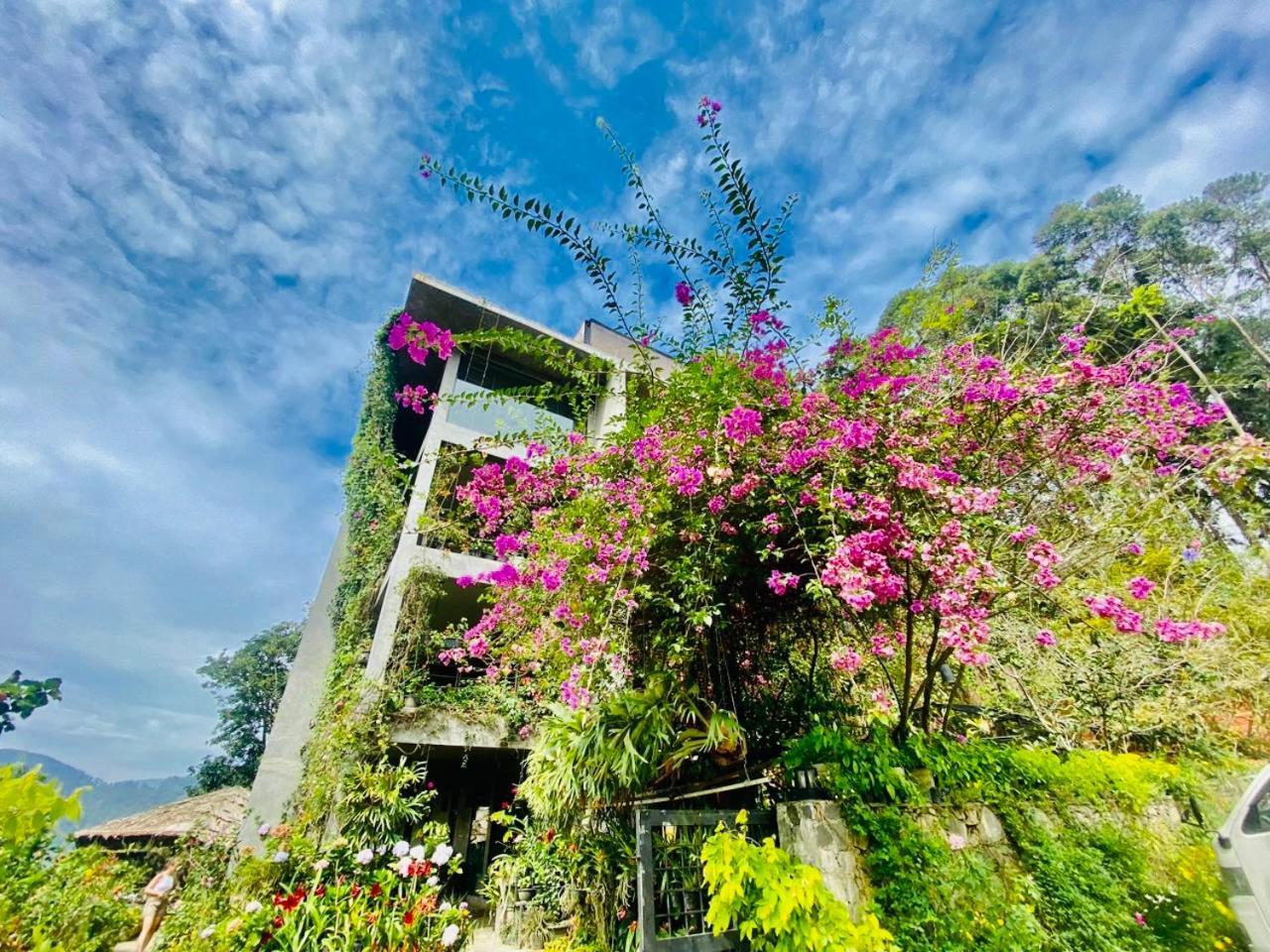 Flower Garden 4* Ella