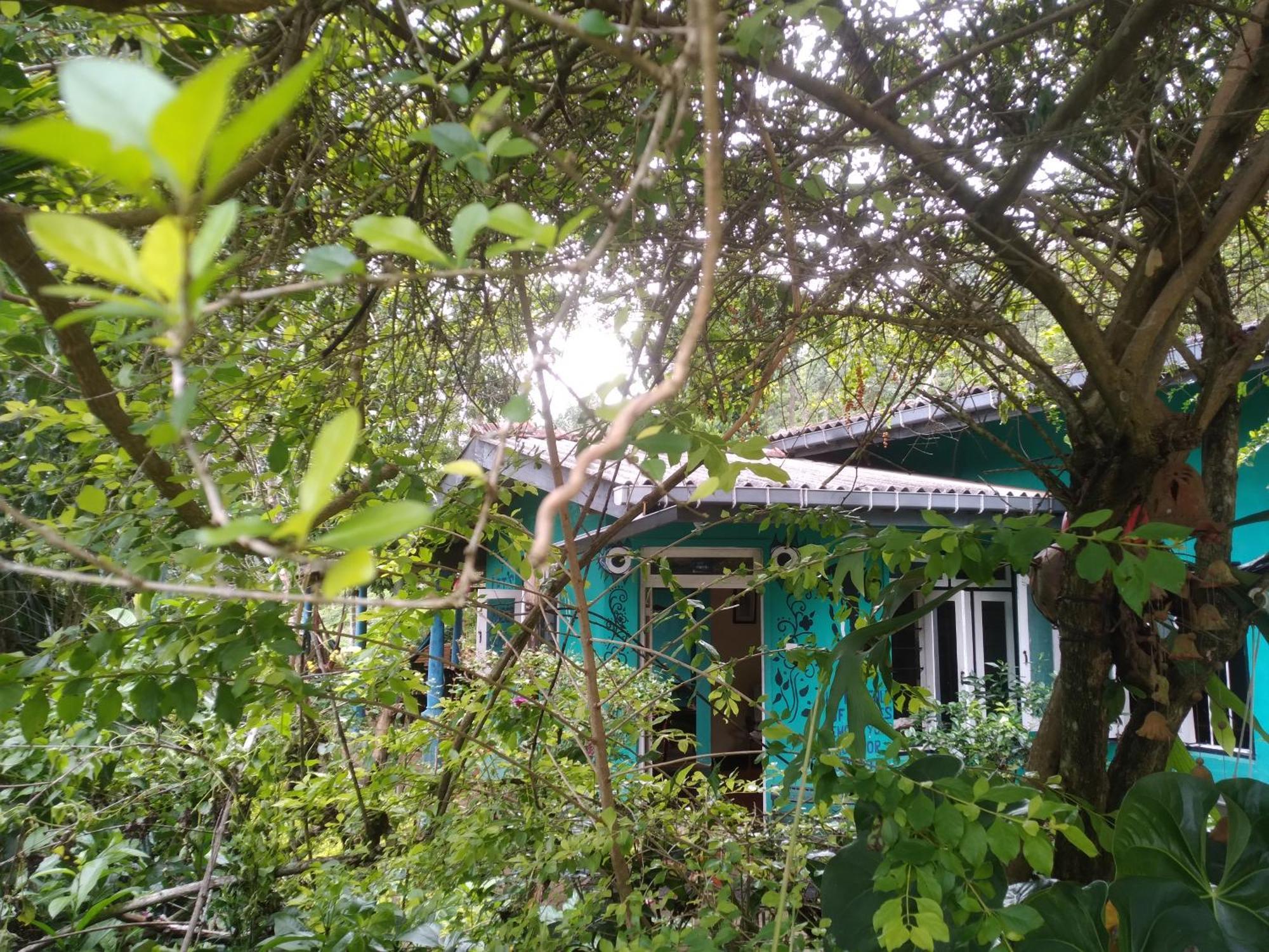 The1964 Paradise Guest house