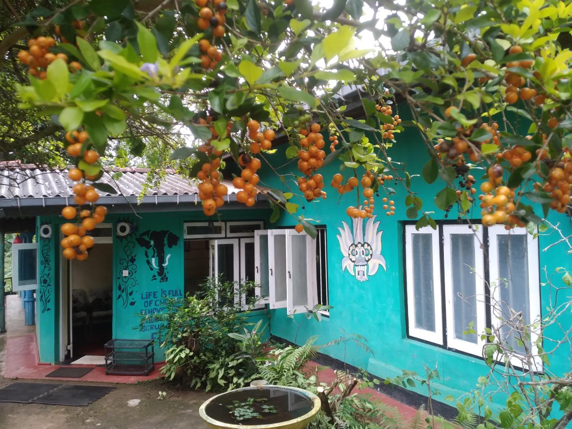 Guest house The1964 Paradise