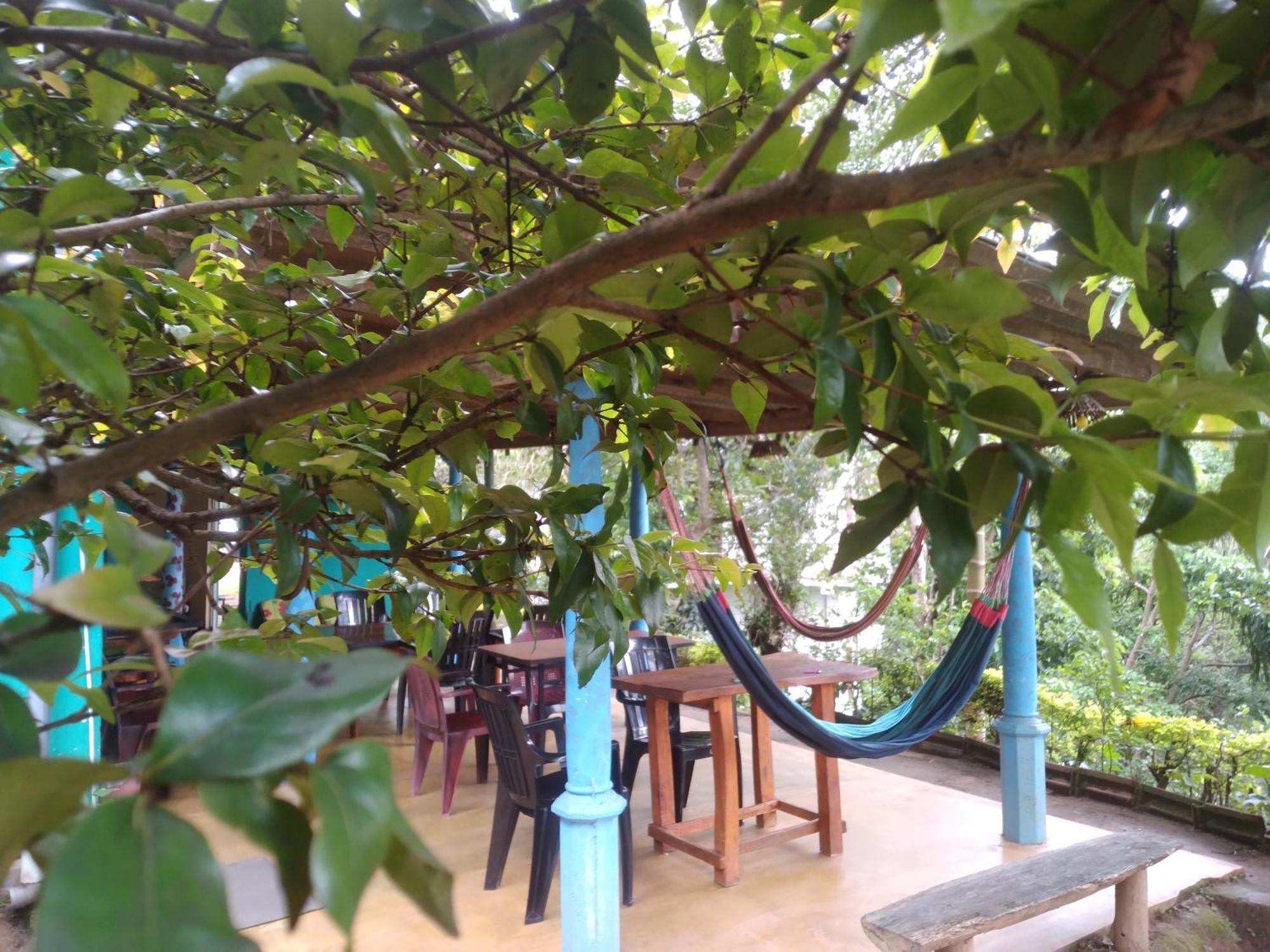 Guest house The1964 Paradise
