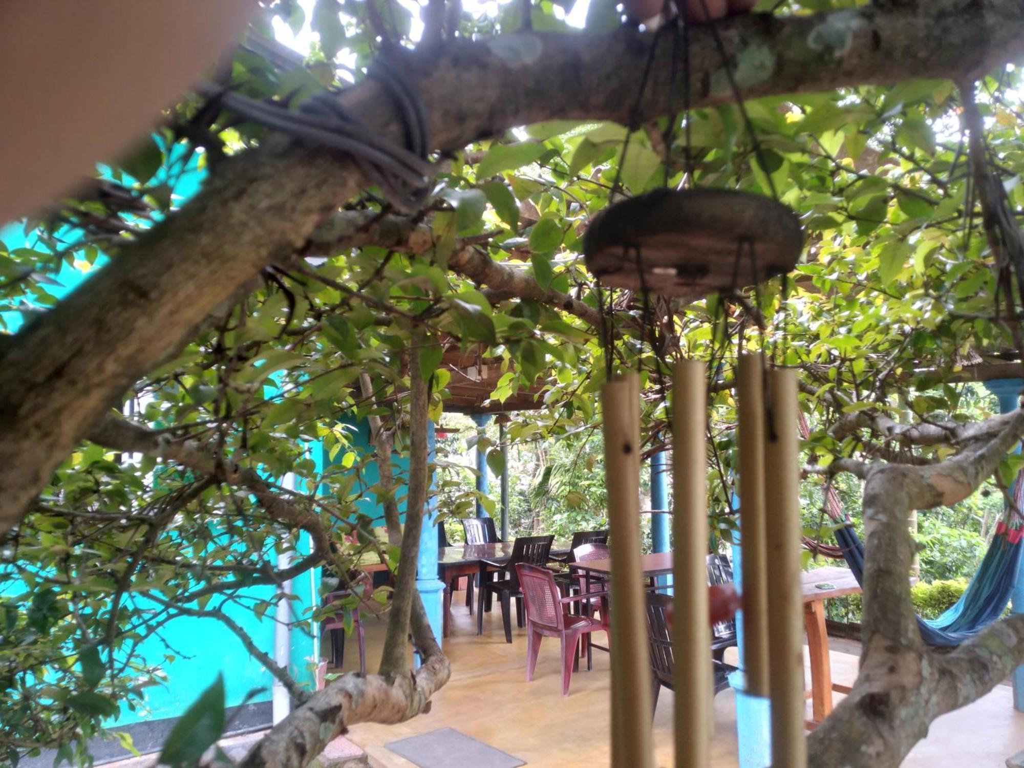 The1964 Paradise Guest house