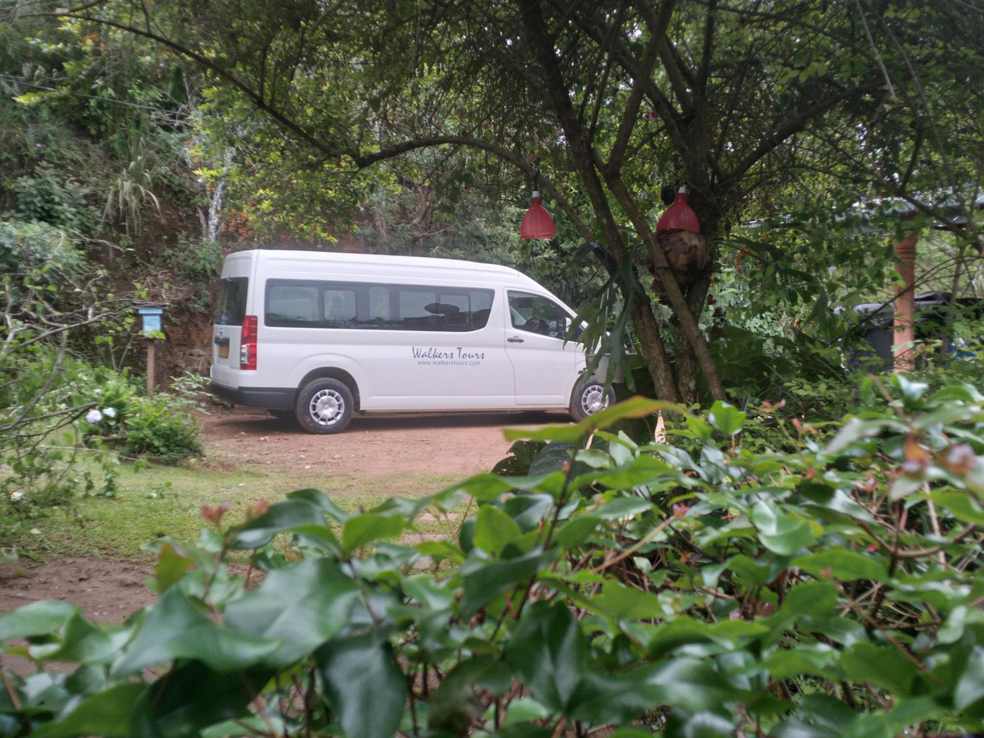 The1964 Paradise Guest house Ella