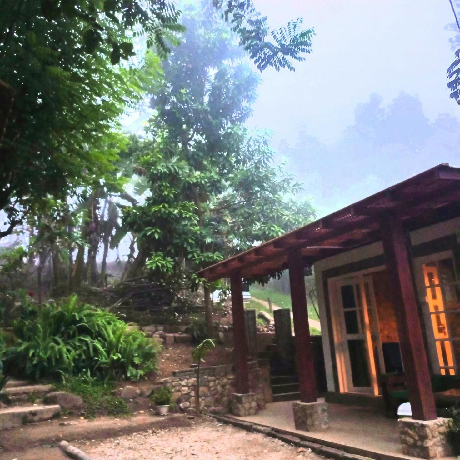Foret Hostel