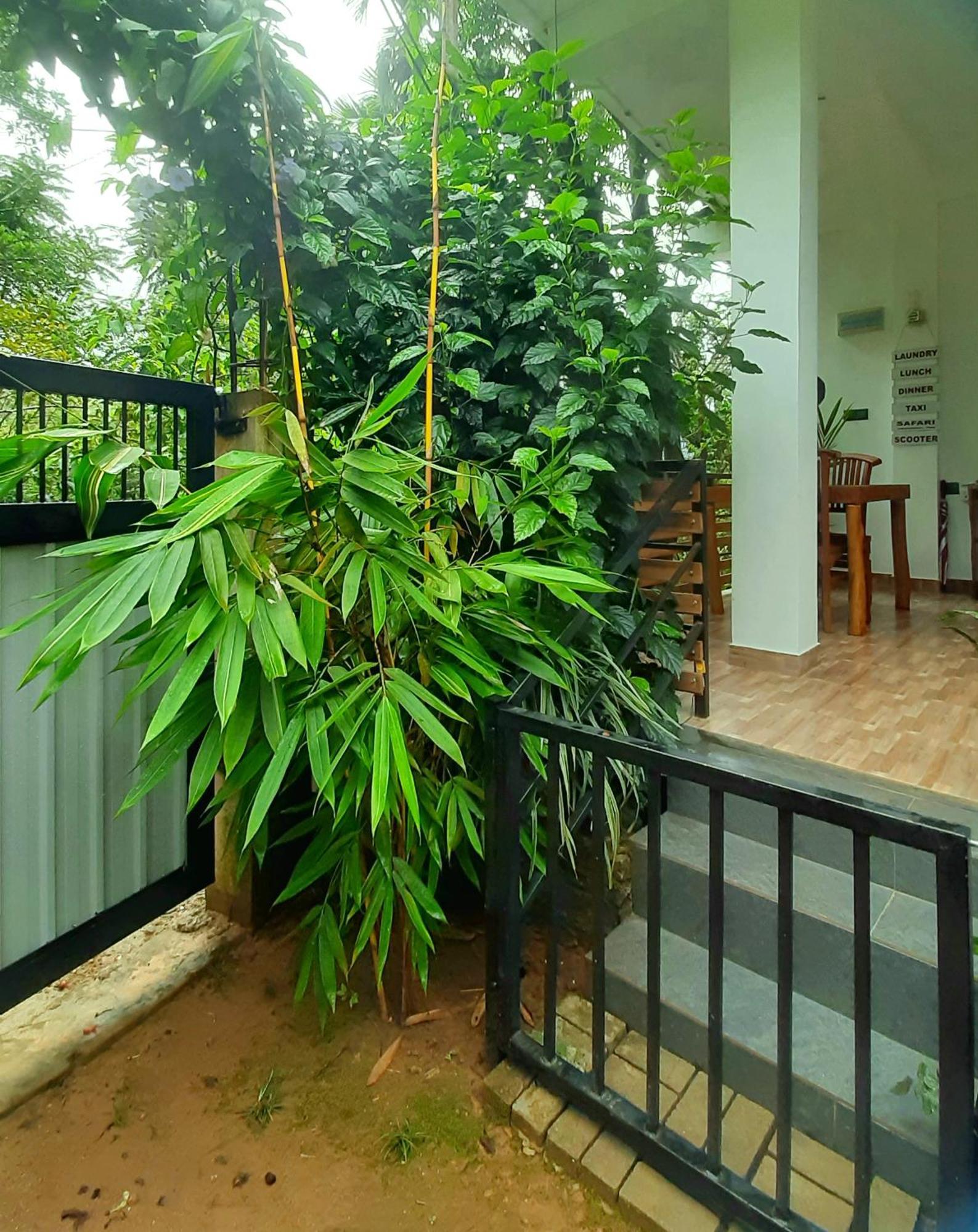 Dhanudi Homestay