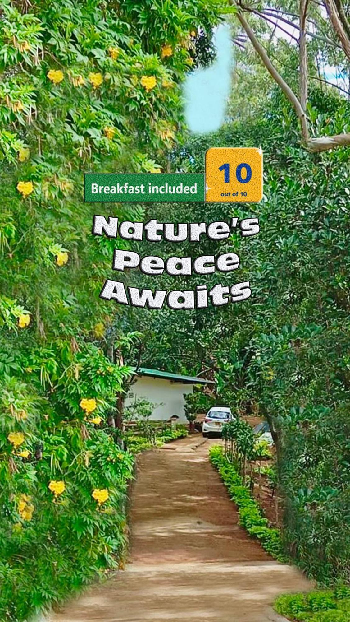 Nature - A Modern, Exclusive Just For You! Holiday home
